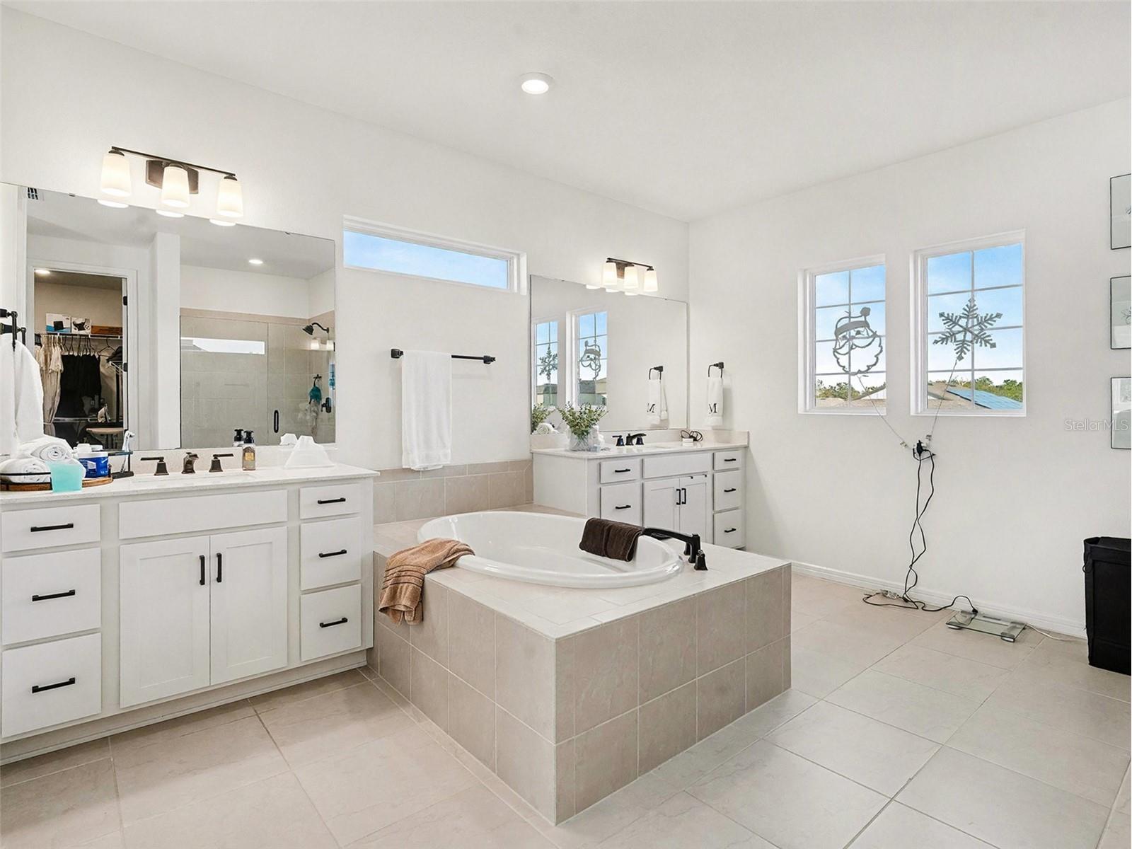 12923 Willow Grove Drive Riverview FL 33579 TB8462764 image5