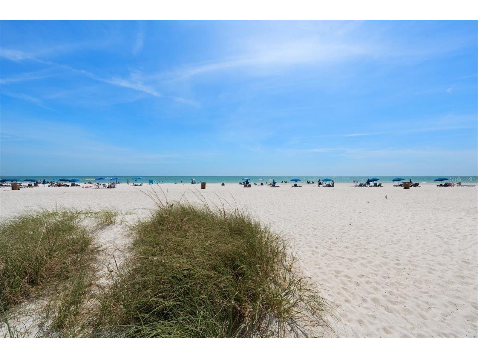 12924 Gulf Boulevard #110 Madeira Beach FL 33708 TB8504130 image29