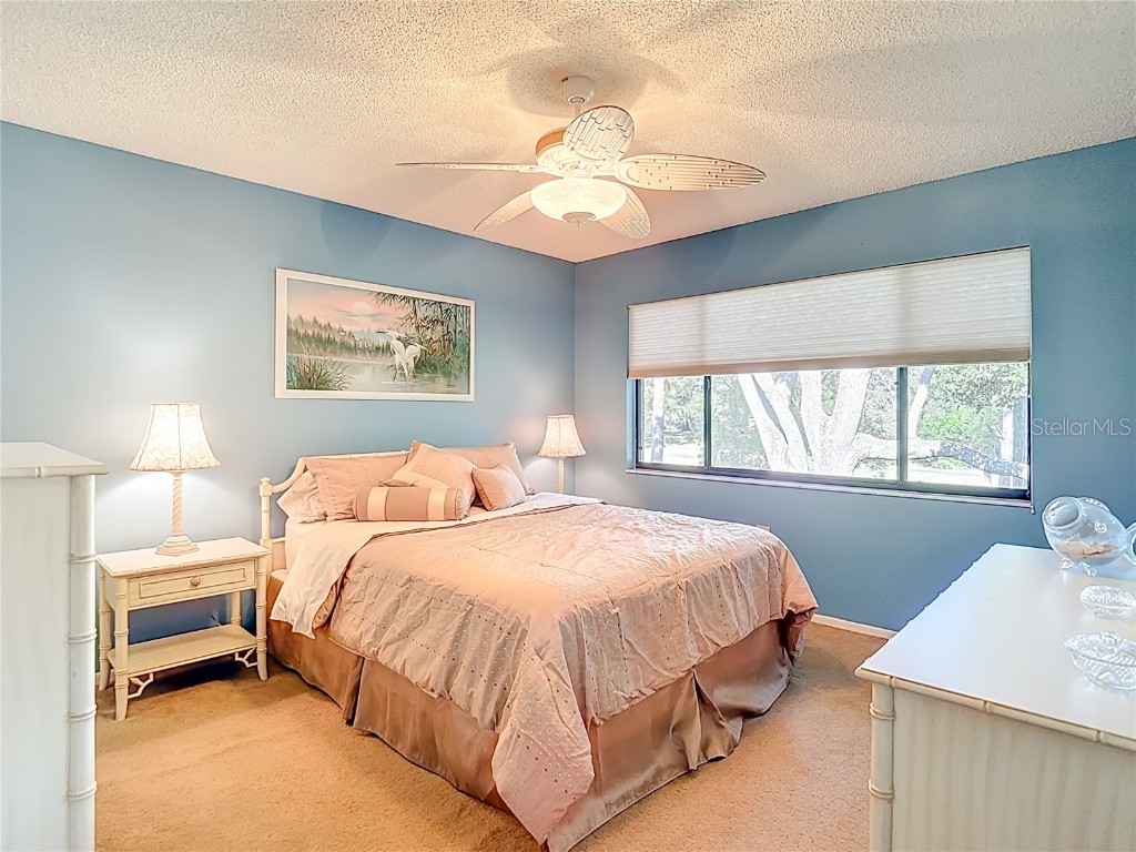 12924 Wedgewood Way #D Hudson FL 34667 TB8449476 image35