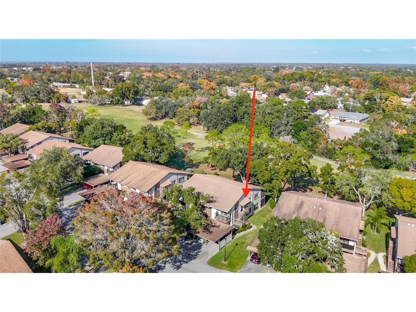 12924 Wedgewood Way #D Hudson FL 34667 TB8449476 image51