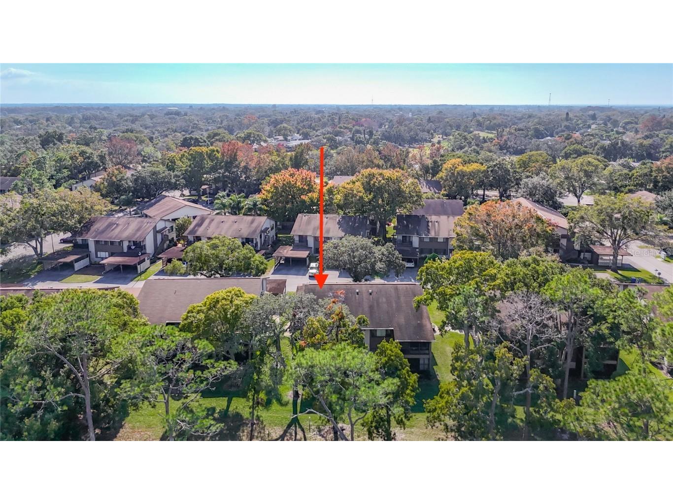 12924 Wedgewood Way #D Hudson FL 34667 TB8449476 image52