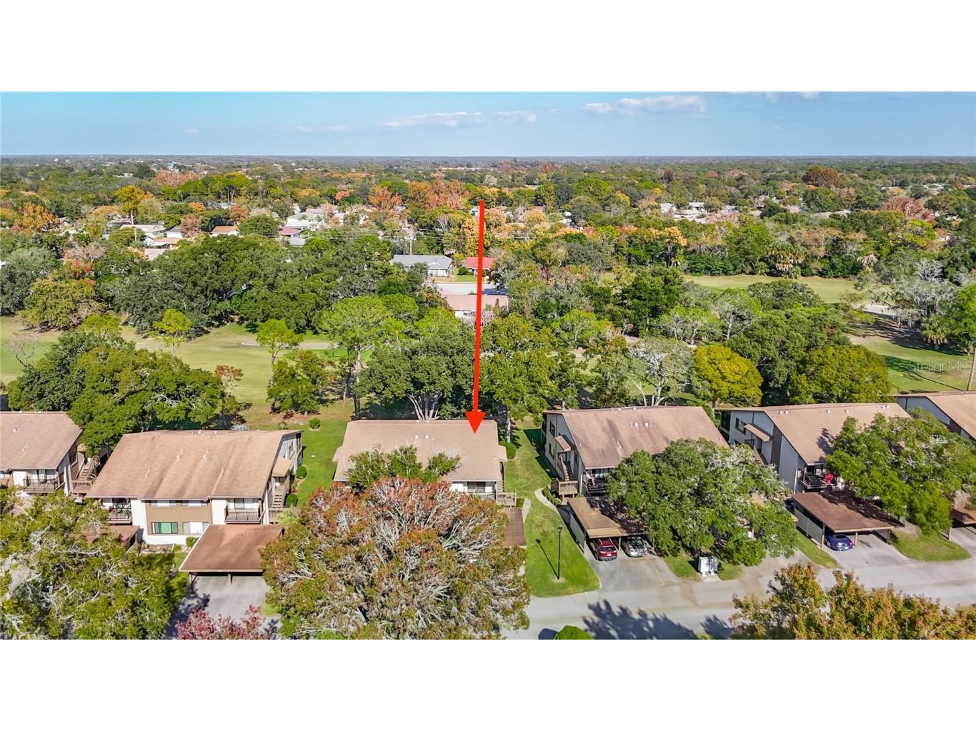 12924 Wedgewood Way #D Hudson FL 34667 TB8449476 image53