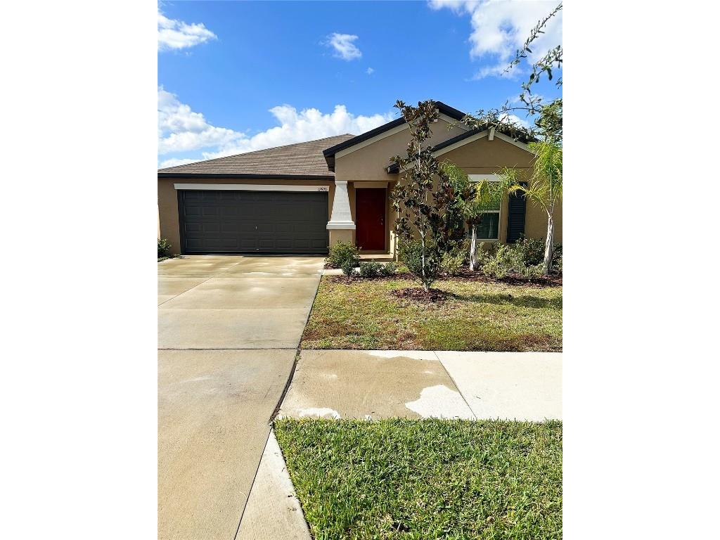 12926 Wildflower Meadow Drive Riverview FL 33579 T3494433 image1