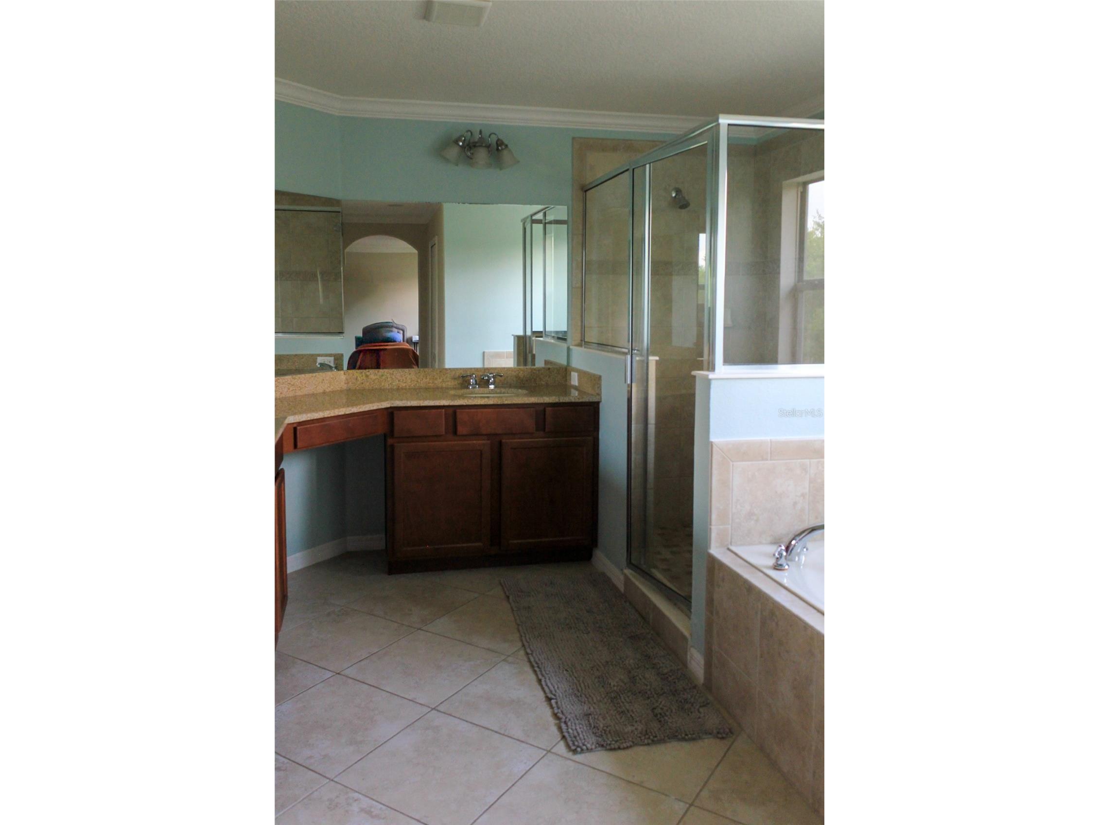12927 Boggy Pointe Drive Orlando FL 32824 O6398449 image26