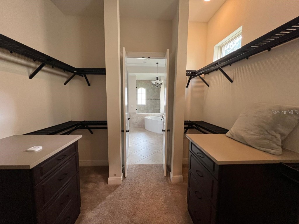 12927 Canopy Woods Way Winter Garden FL 34787 S5136184 image15