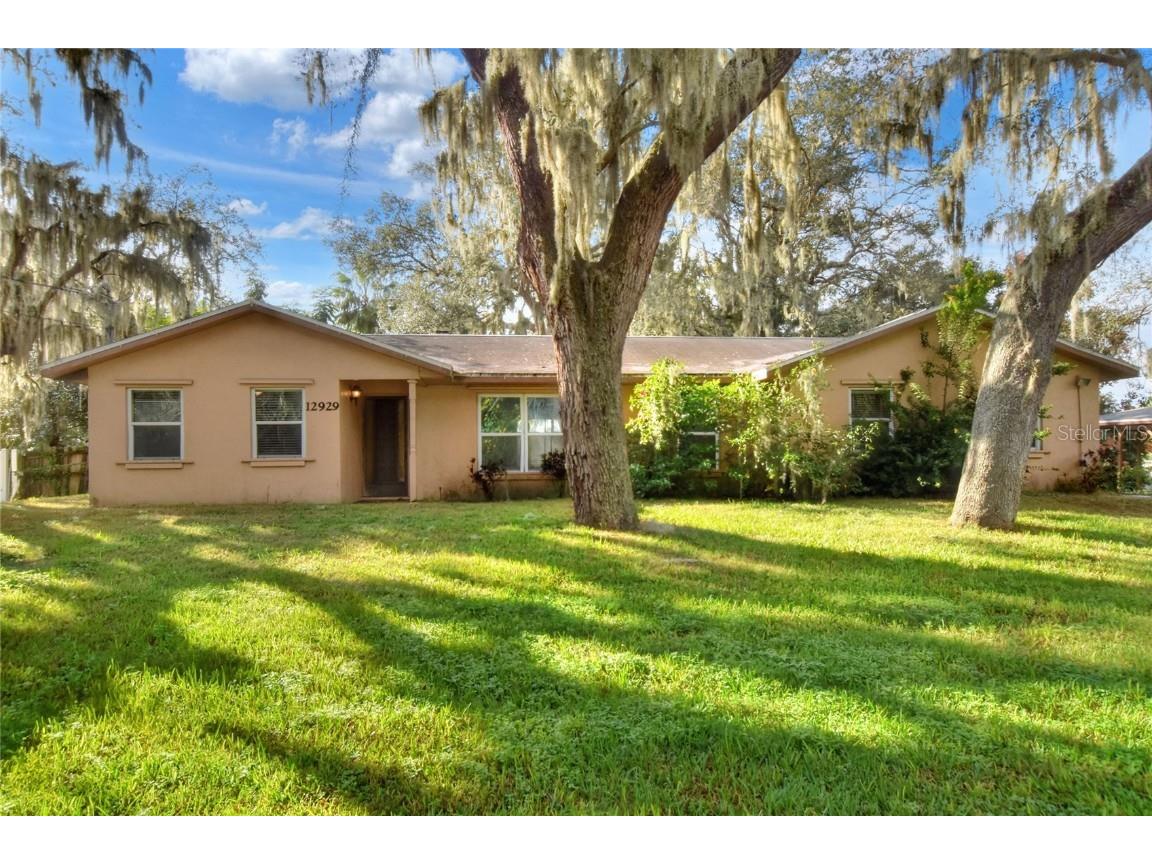 12929 Lincoln Road Riverview FL 33578 T3488641 image1