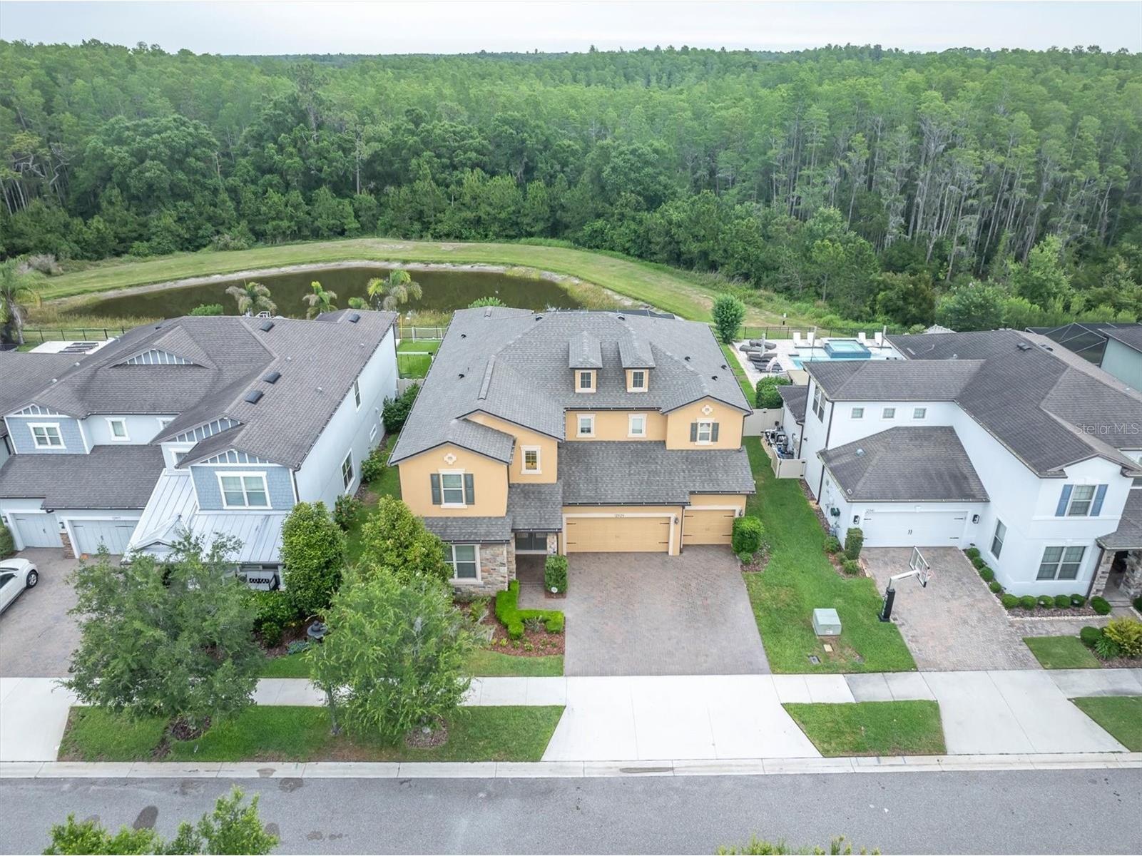 12929 Payton Street Odessa FL 33556 W7885648 image2