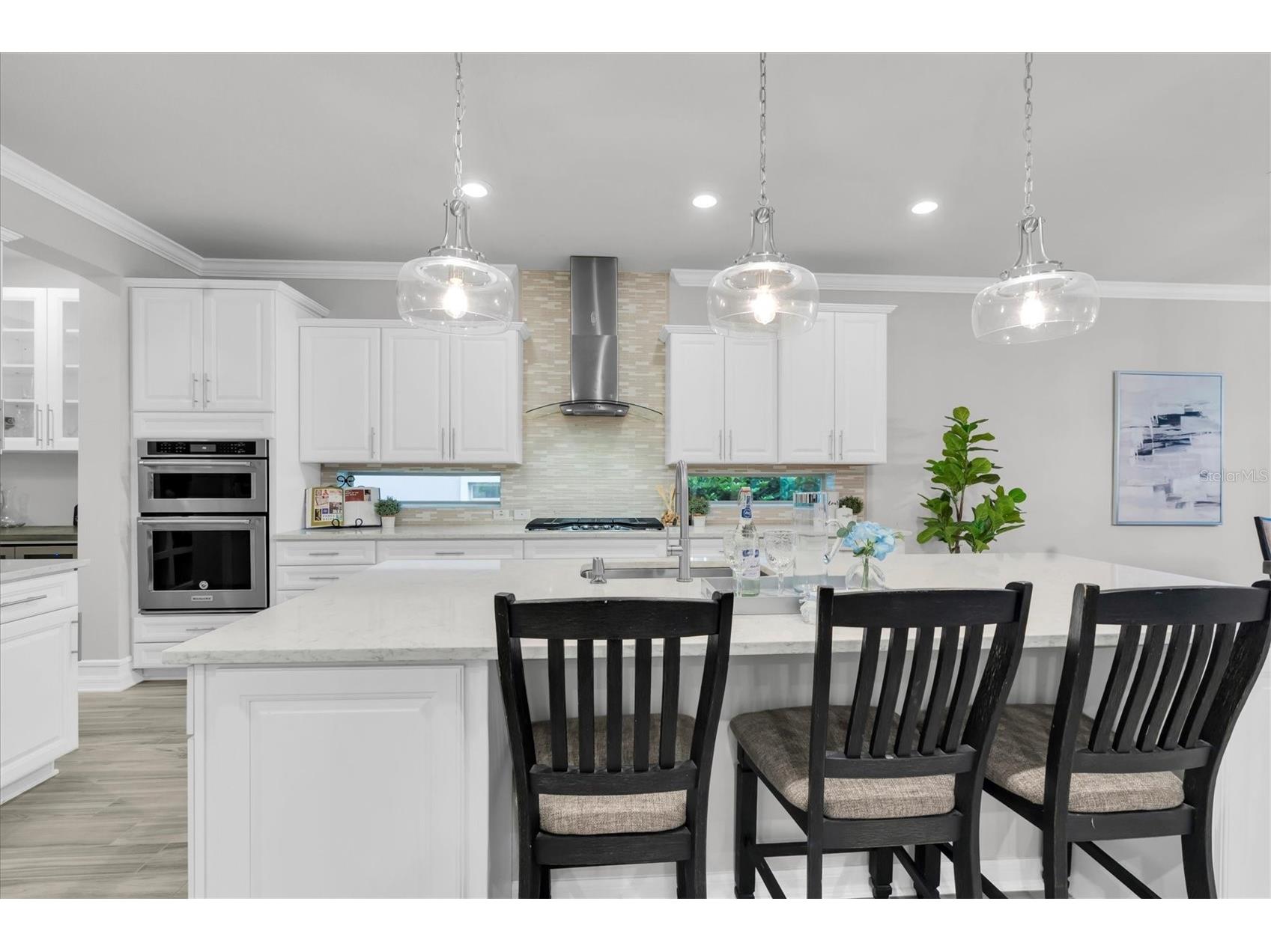 12929 Payton Street Odessa FL 33556 W7885648 image4