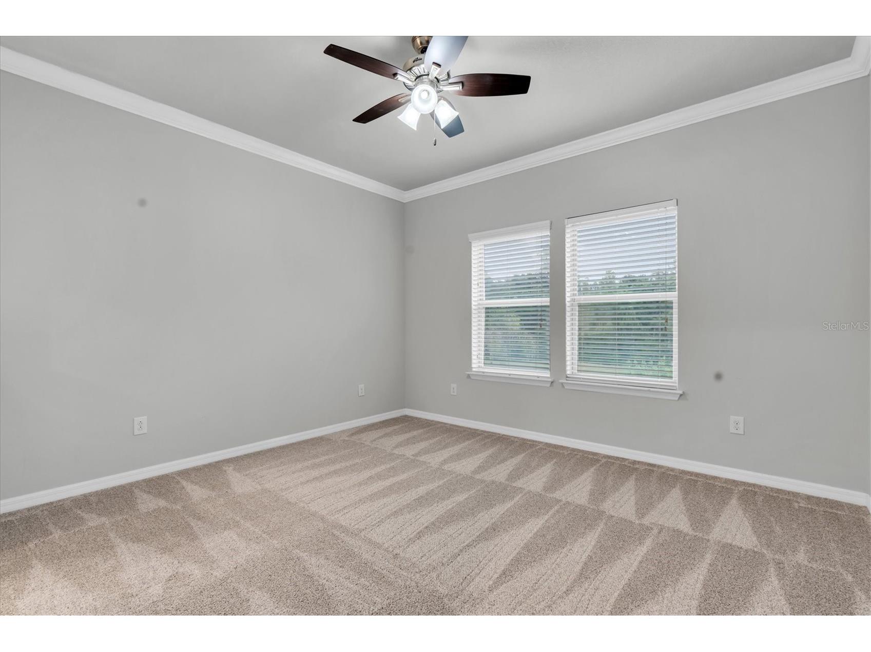12929 Payton Street Odessa FL 33556 W7885648 image43