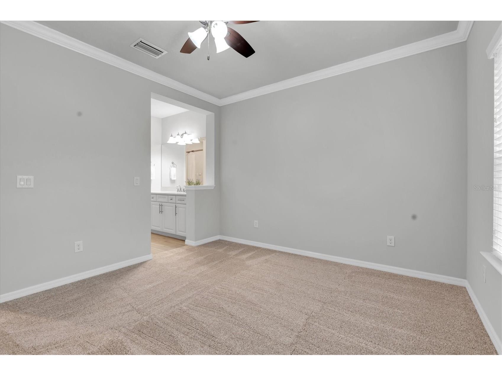 12929 Payton Street Odessa FL 33556 W7885648 image44