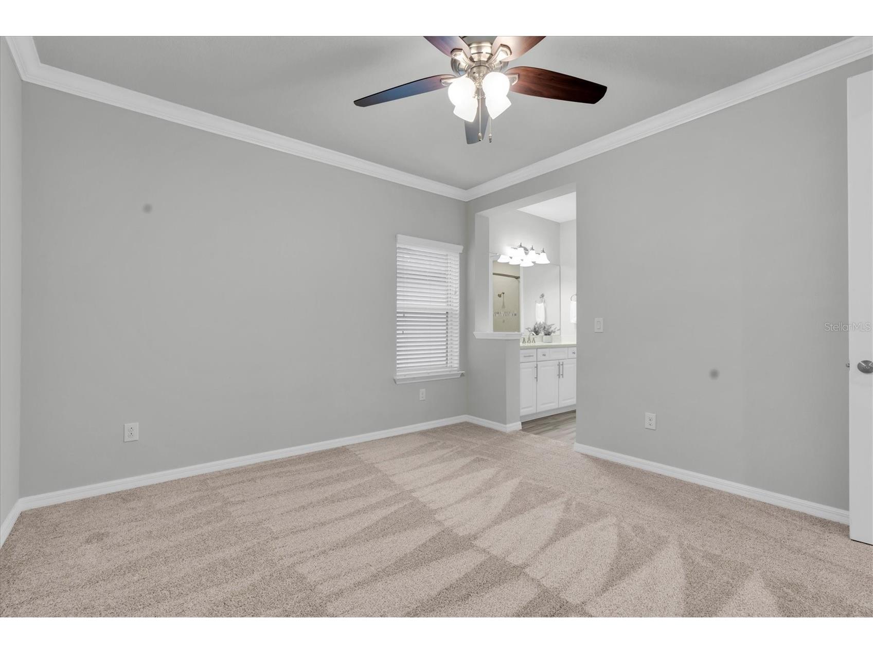 12929 Payton Street Odessa FL 33556 W7885648 image47