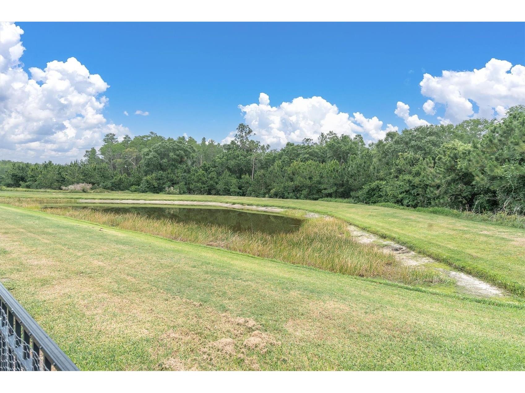 12929 Payton Street Odessa FL 33556 W7885648 image62