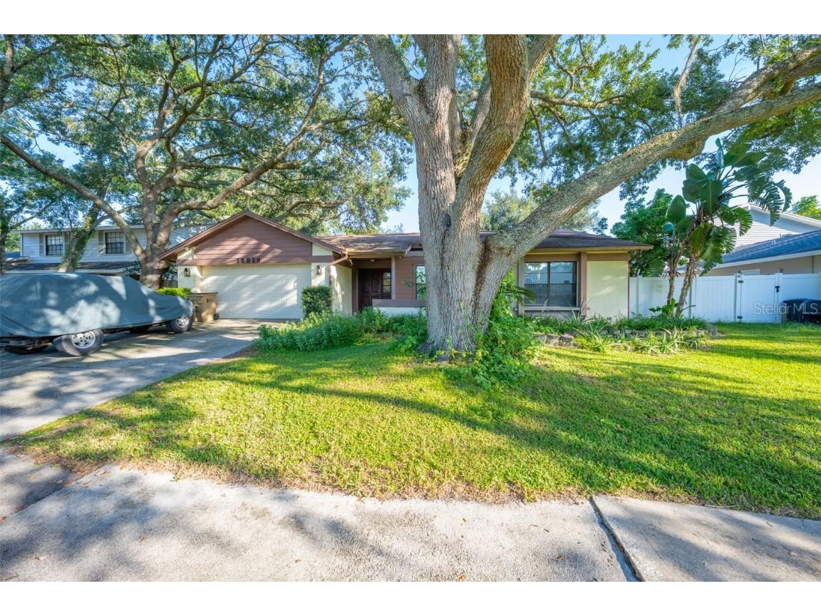 12929 Rain Forest Street Temple Terrace FL 33617 TB8434379 image1