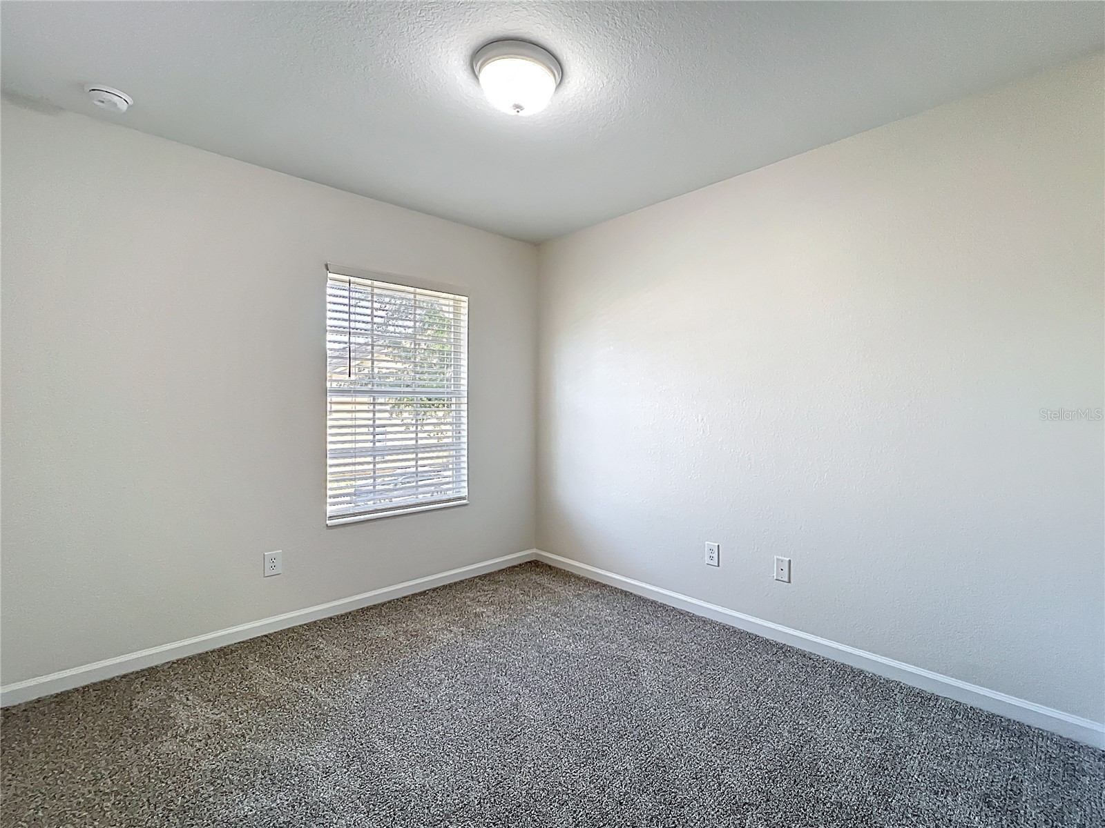 12930 Vennetta Way Windermere FL 34786 O6301208 image22