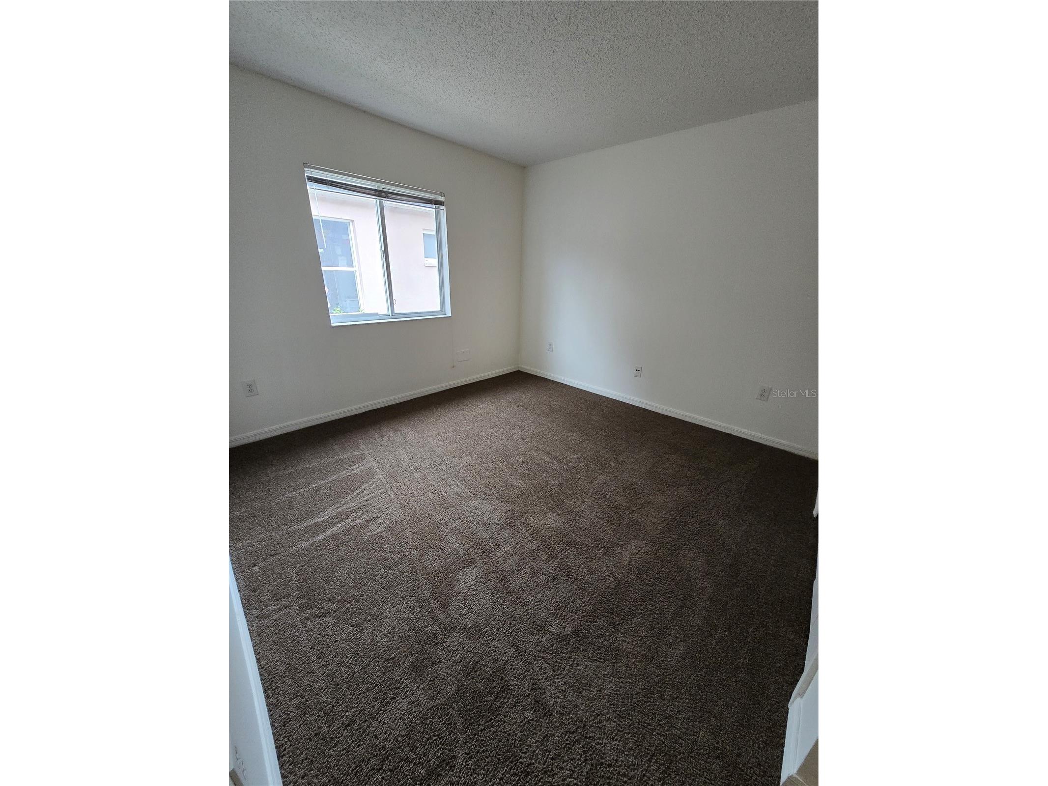 12932 Fieldmoor Court Riverview FL 33579 TB8515785 image10