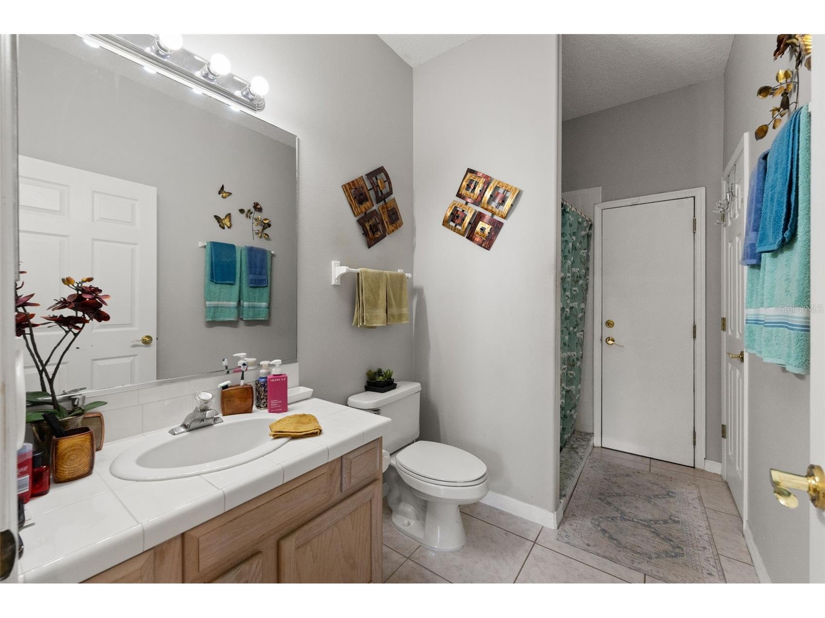 12932 Lakeshore Drive Clermont FL 34711 - LAKE MINNEHAHA G5113470 image26
