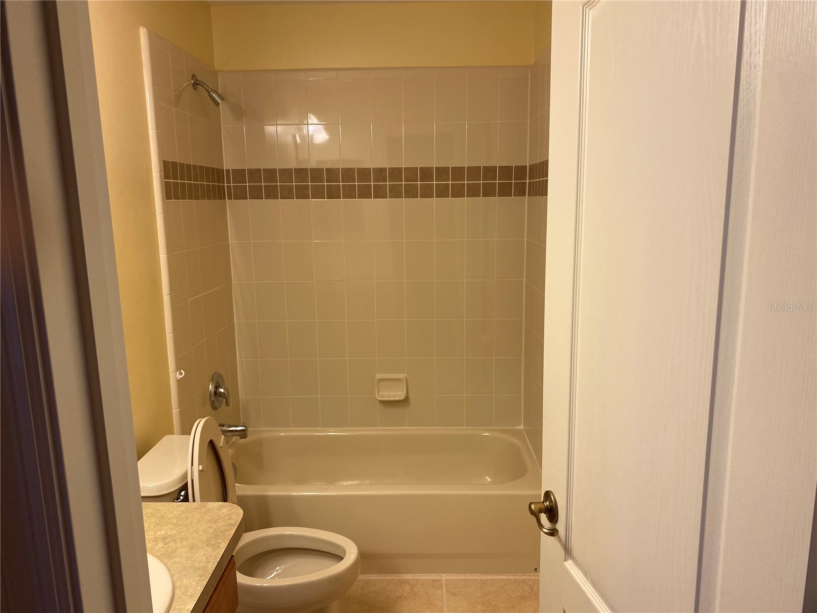 12934 Colonnade Circle Clermont FL 34711 OM721060 image18