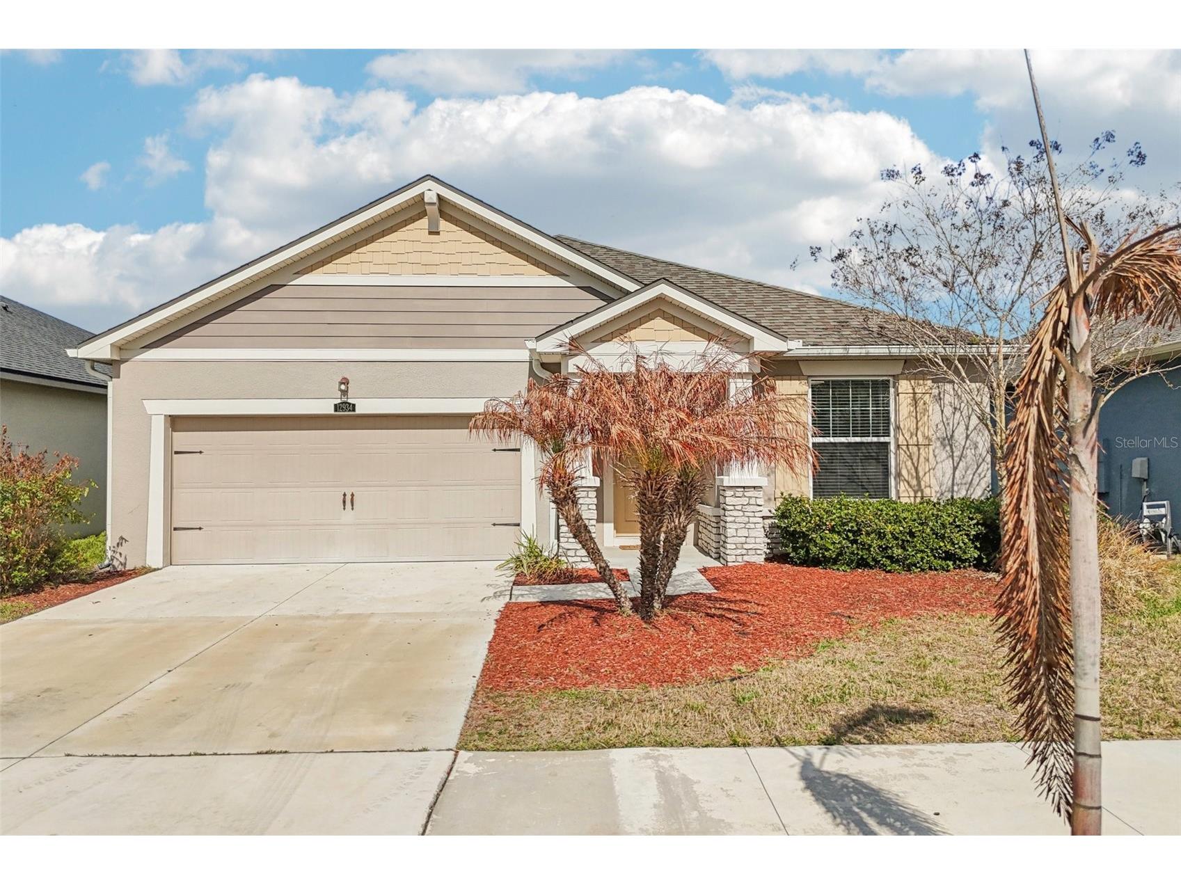 12934 Satin Lily Drive Riverview FL 33579 TB8466429 image1
