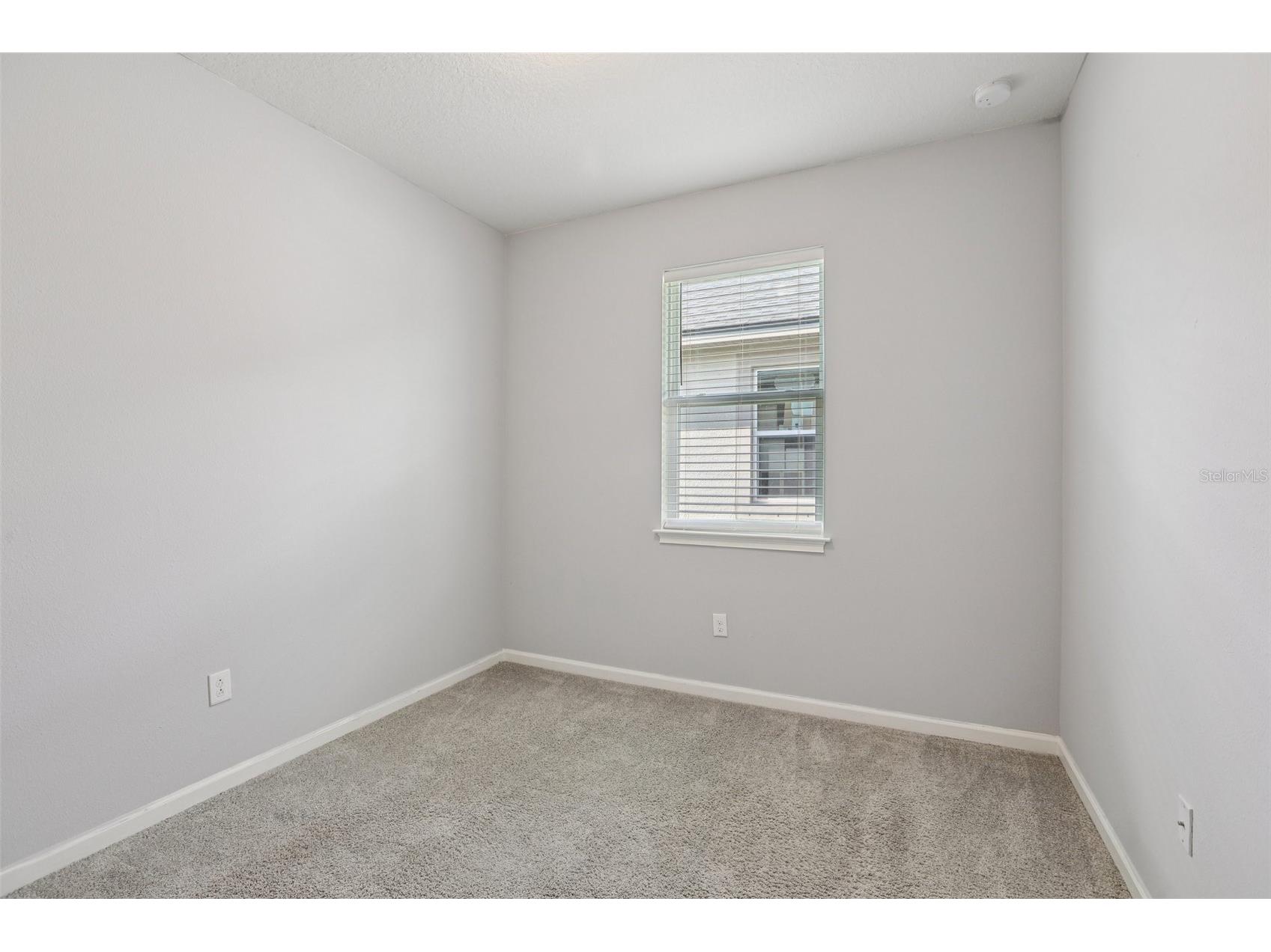 12934 Satin Lily Drive Riverview FL 33579 TB8466429 image24