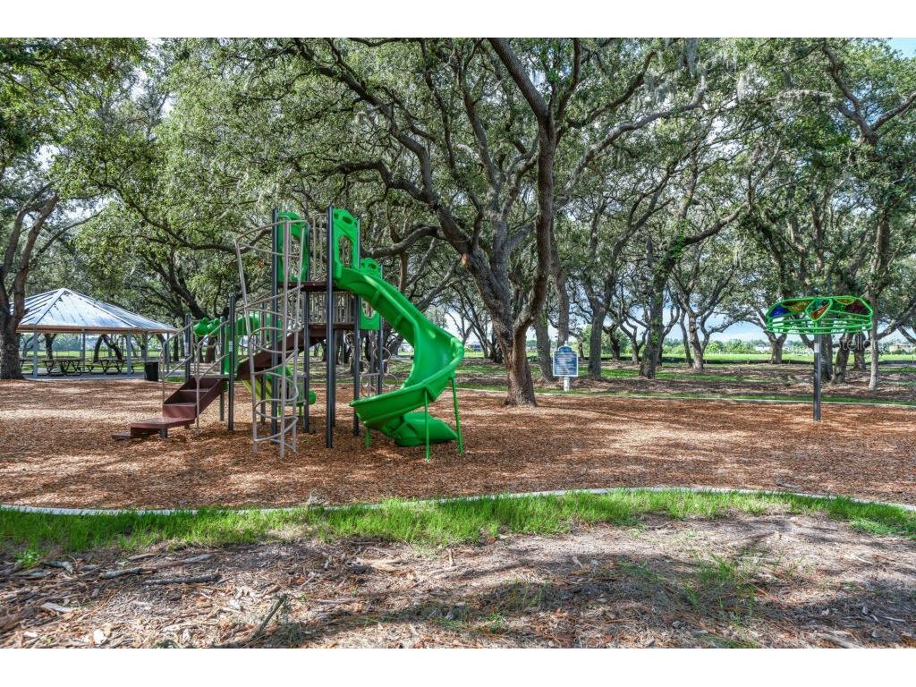 12934 Satin Lily Drive Riverview FL 33579 TB8466429 image42