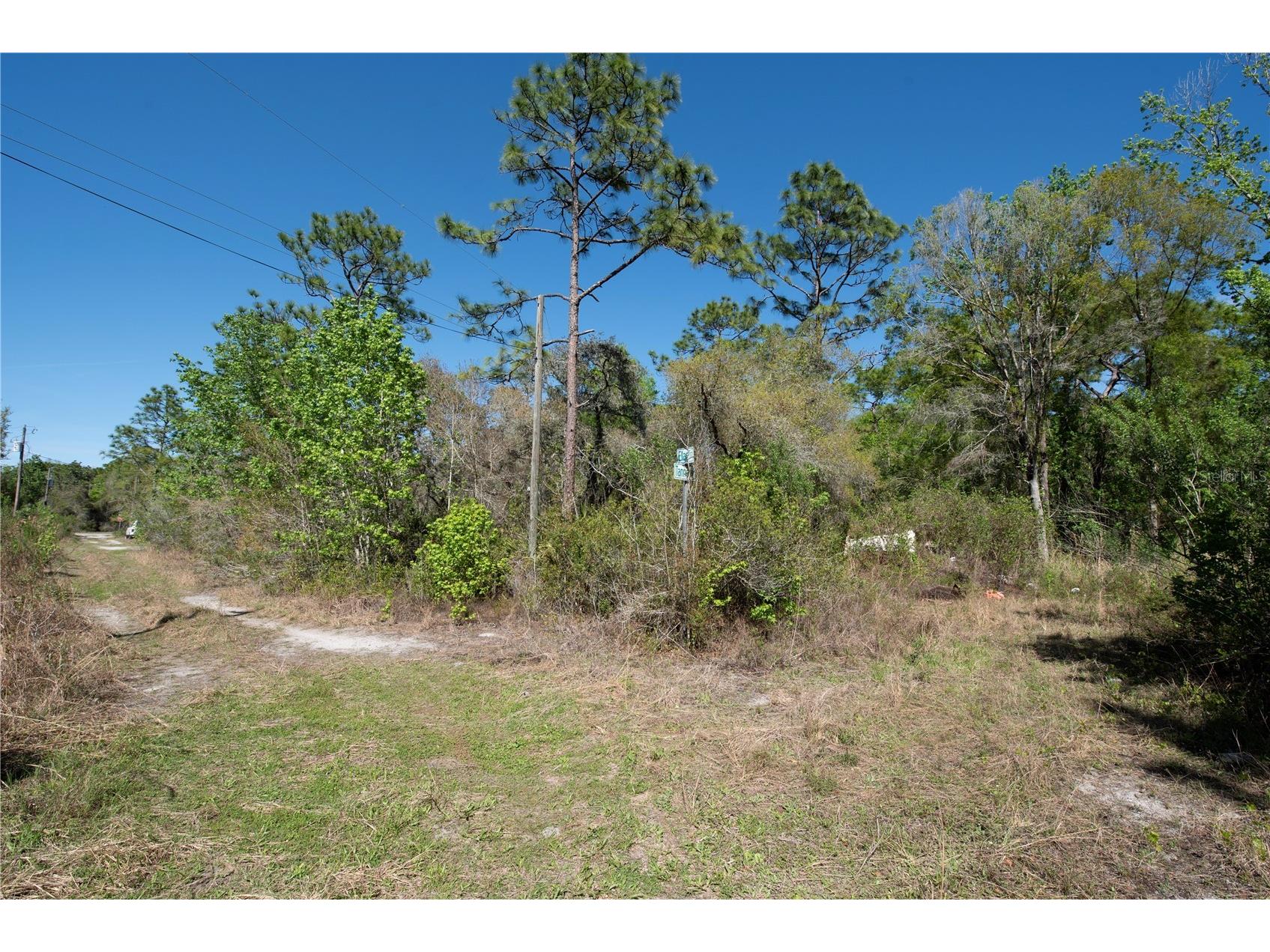 12934 Tanner Road New Port Richey FL 34654 TB8482509 image1