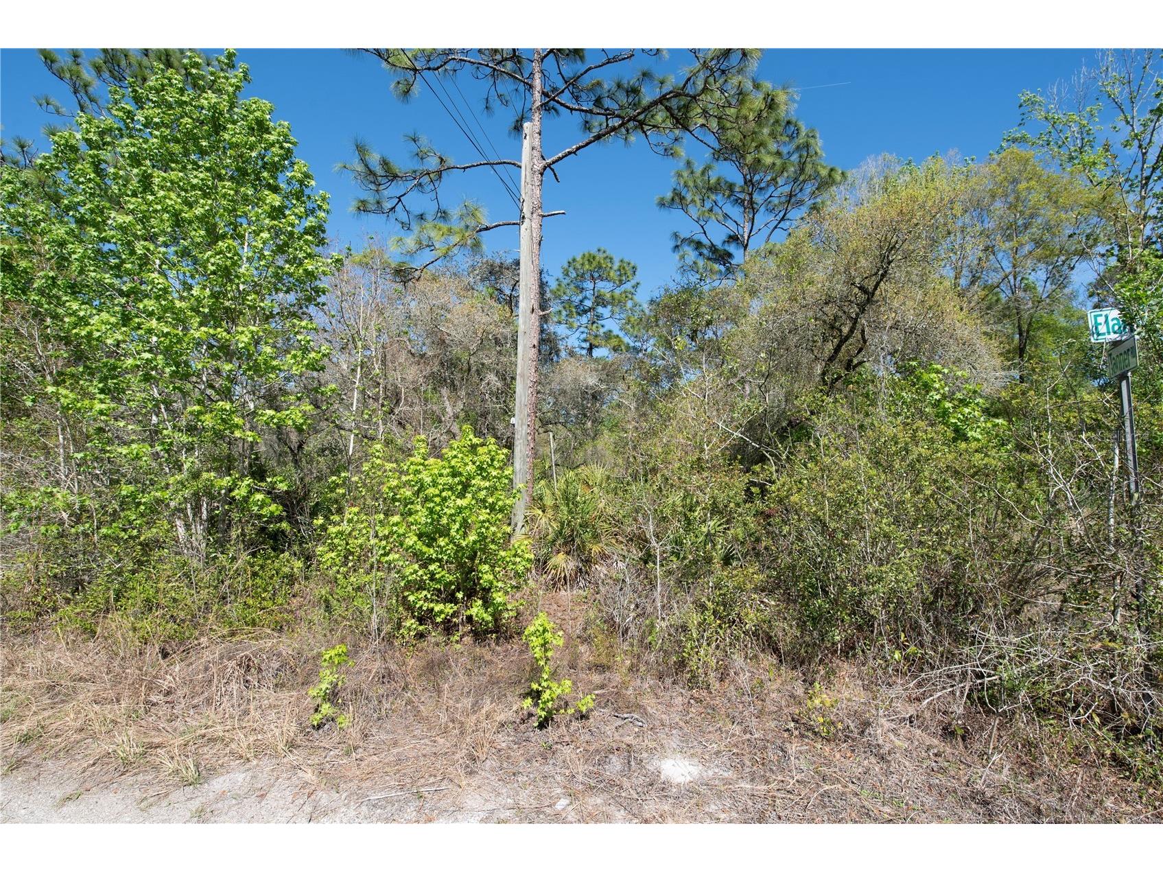 12934 Tanner Road New Port Richey FL 34654 TB8482509 image2