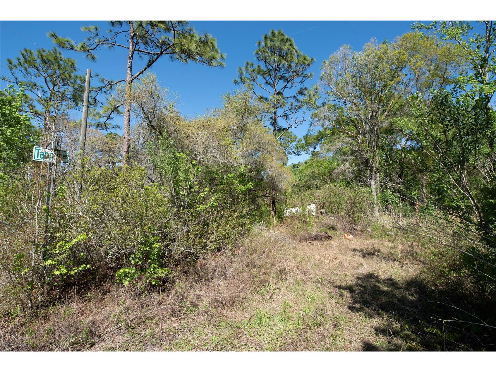 12934 Tanner Road New Port Richey FL 34654 TB8482509 image3