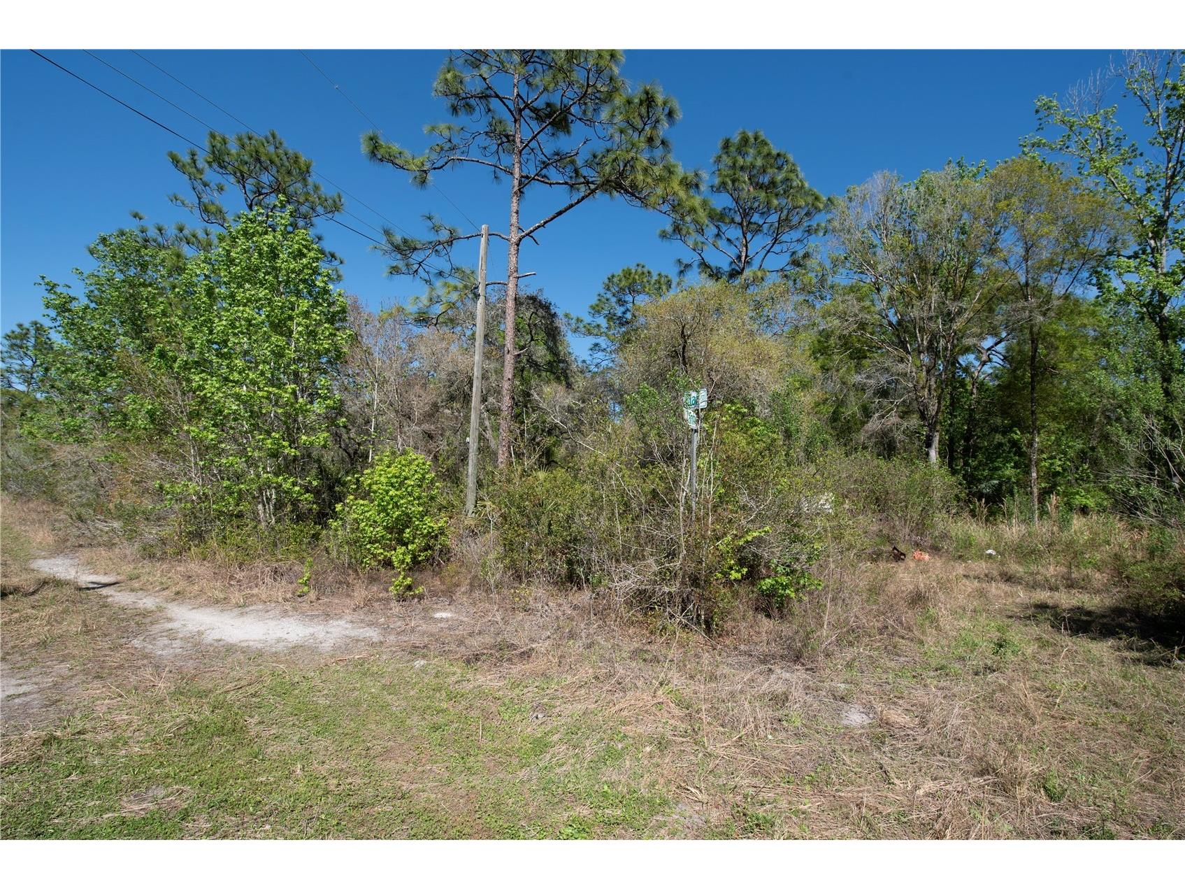 12934 Tanner Road New Port Richey FL 34654 TB8482509 image4