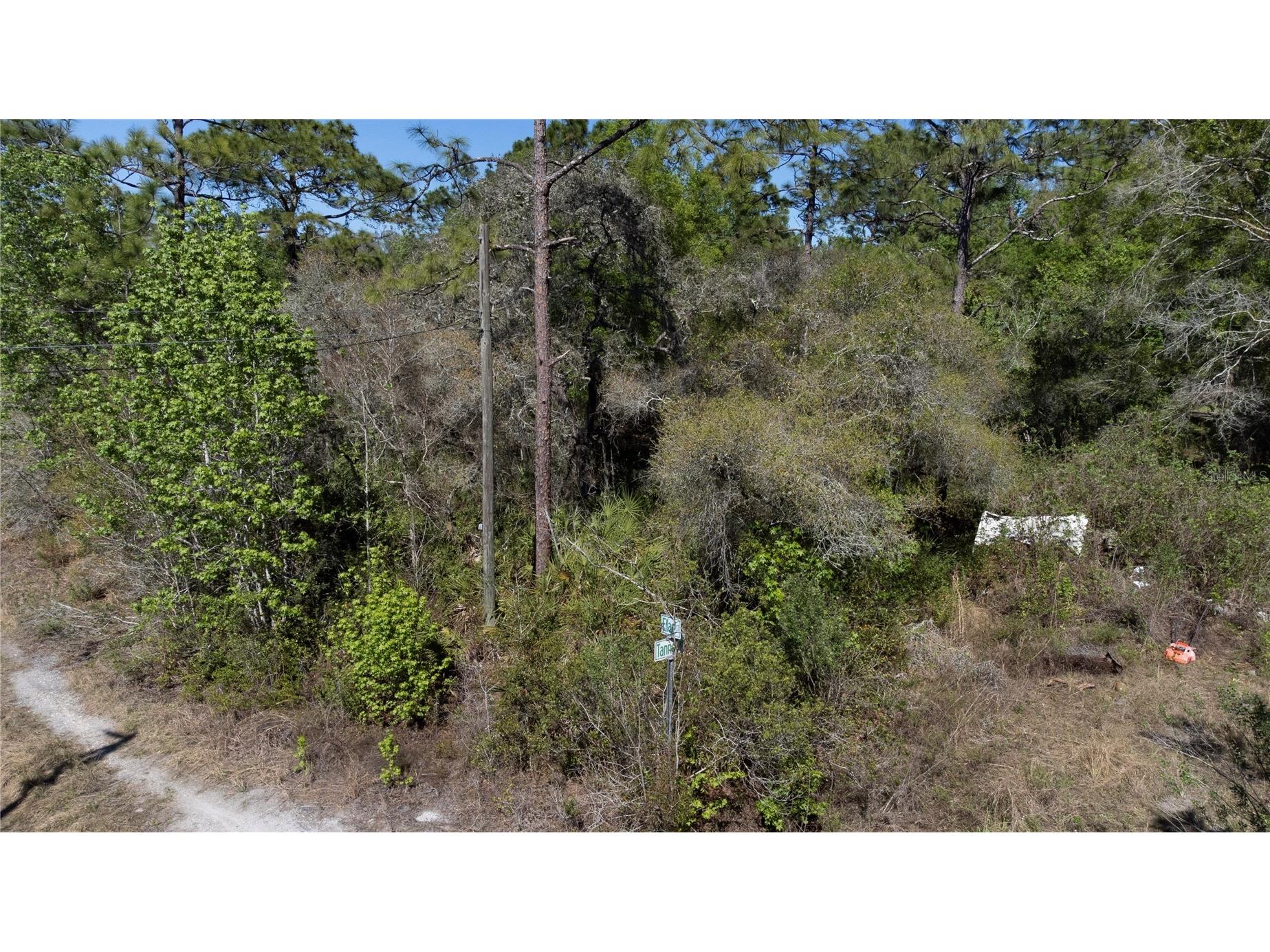 12934 Tanner Road New Port Richey FL 34654 TB8482509 image6