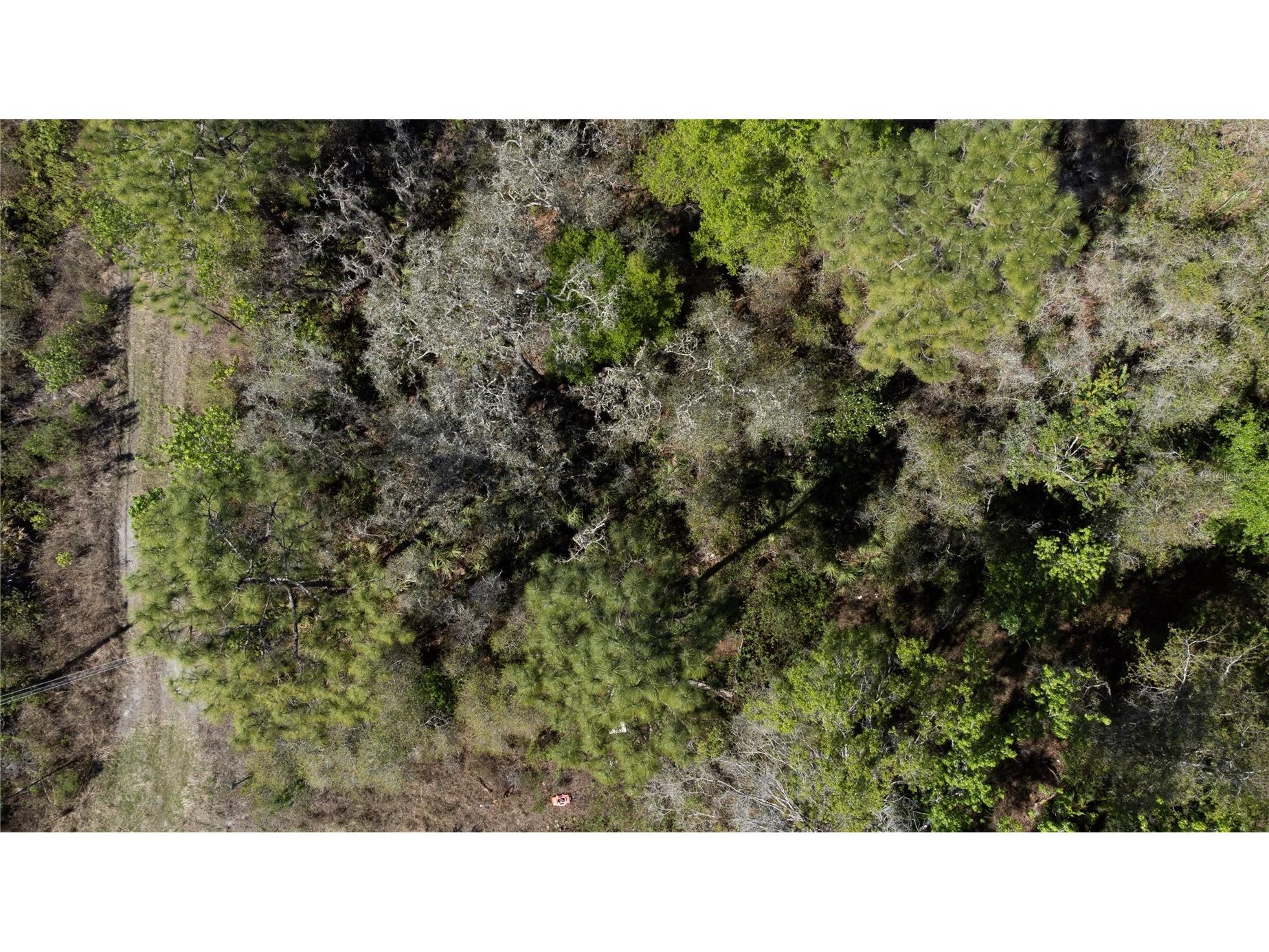 12934 Tanner Road New Port Richey FL 34654 TB8482509 image7