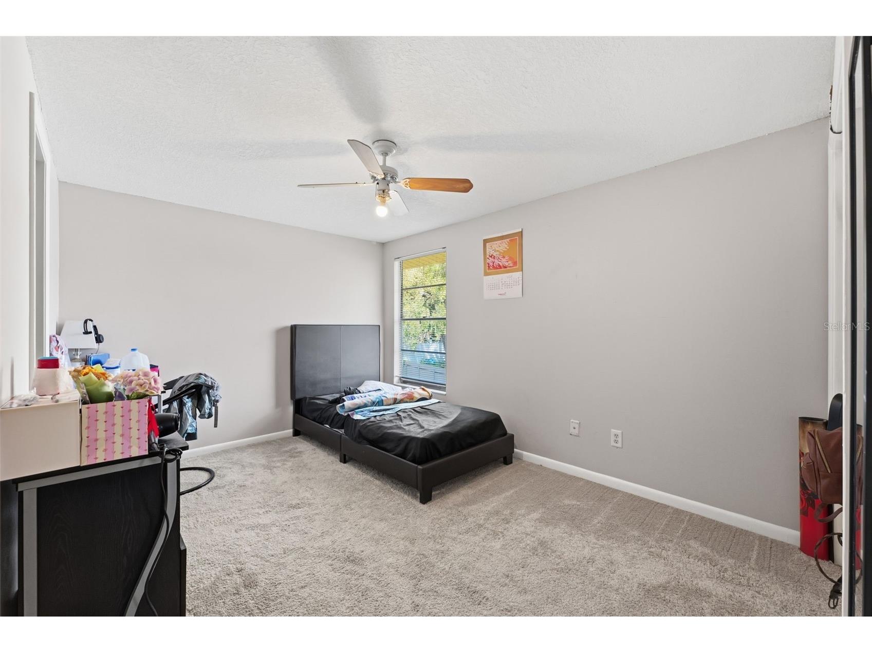 12935 Rain Forest Street Temple Terrace FL 33617 TB8481403 image30