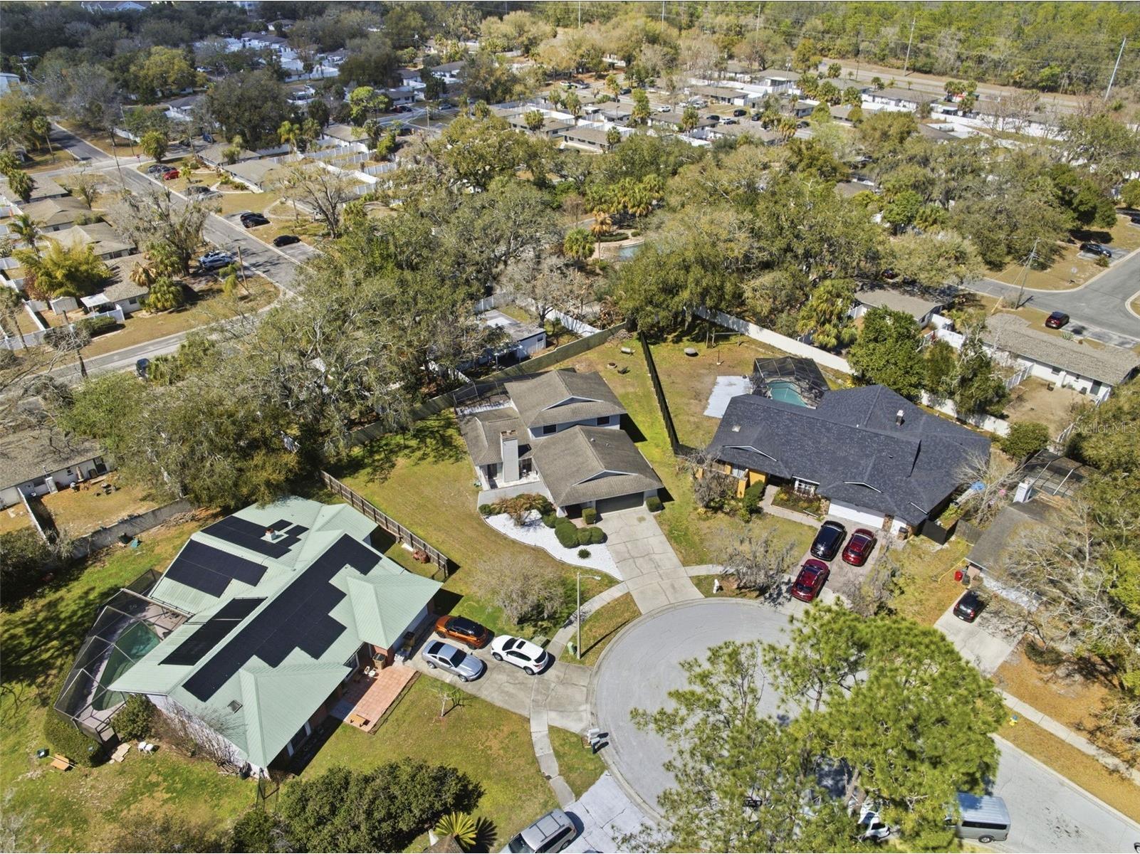 12935 Rain Forest Street Temple Terrace FL 33617 TB8481403 image44