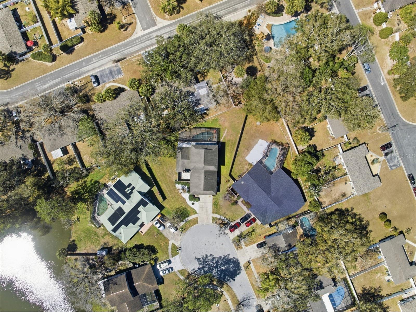 12935 Rain Forest Street Temple Terrace FL 33617 TB8481403 image47