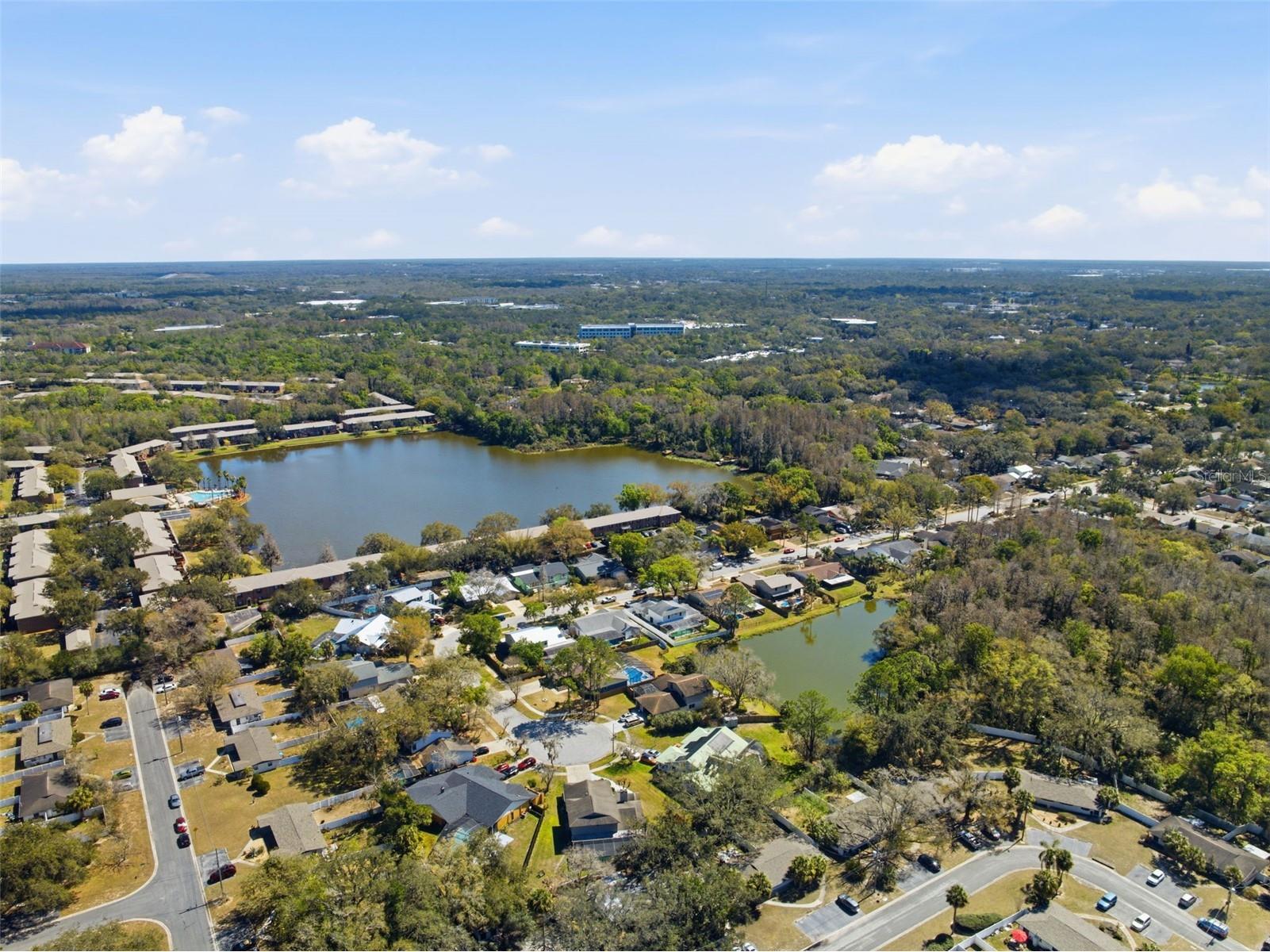 12935 Rain Forest Street Temple Terrace FL 33617 TB8481403 image48