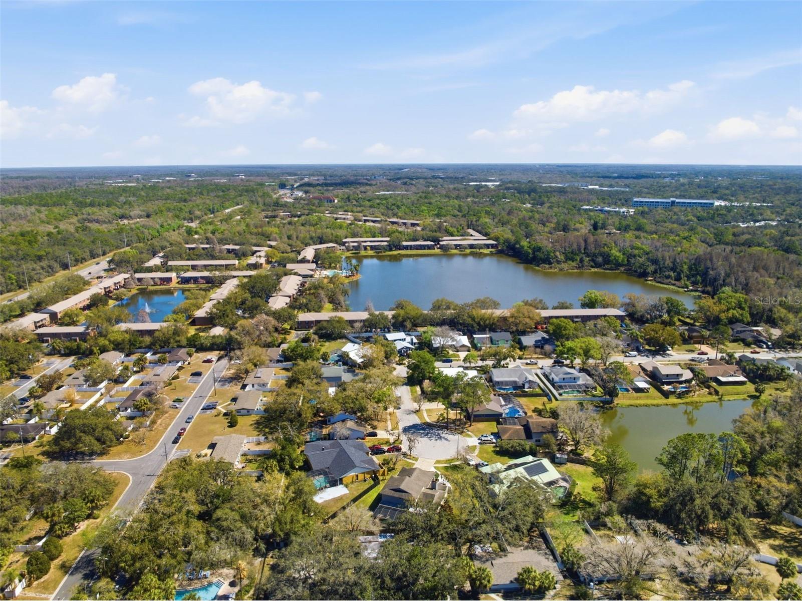 12935 Rain Forest Street Temple Terrace FL 33617 TB8481403 image49