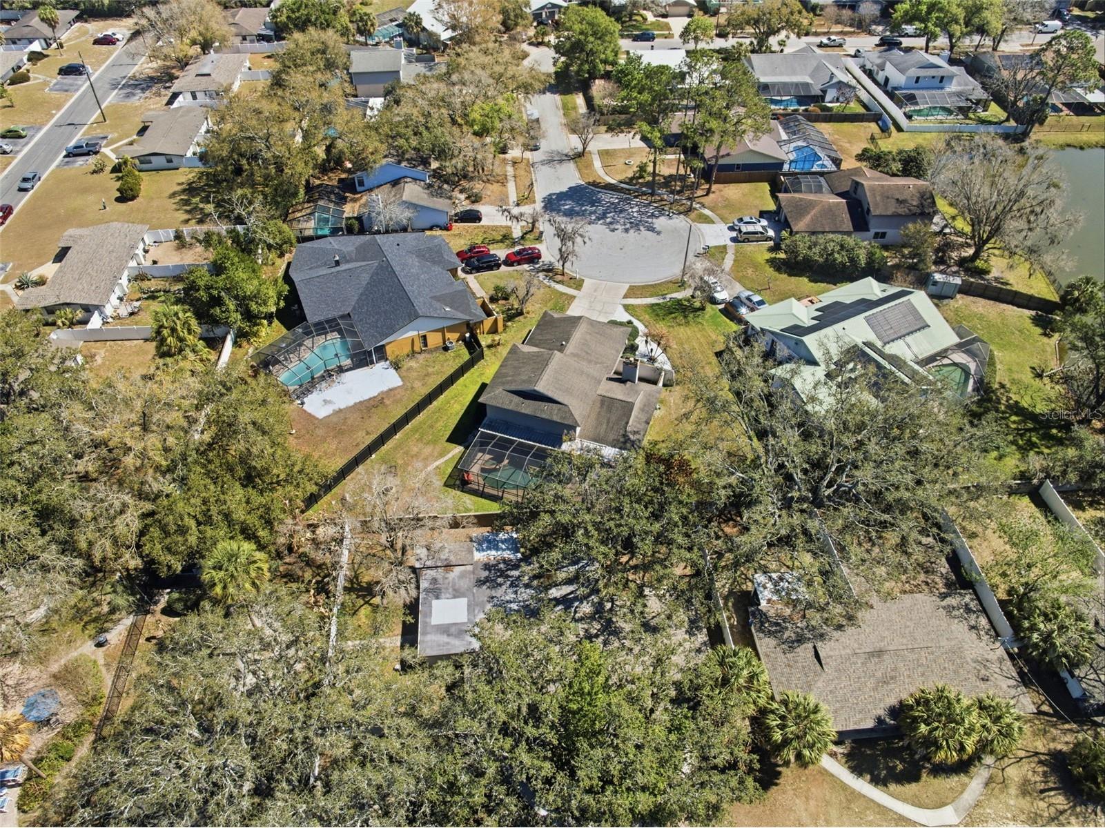 12935 Rain Forest Street Temple Terrace FL 33617 TB8481403 image50