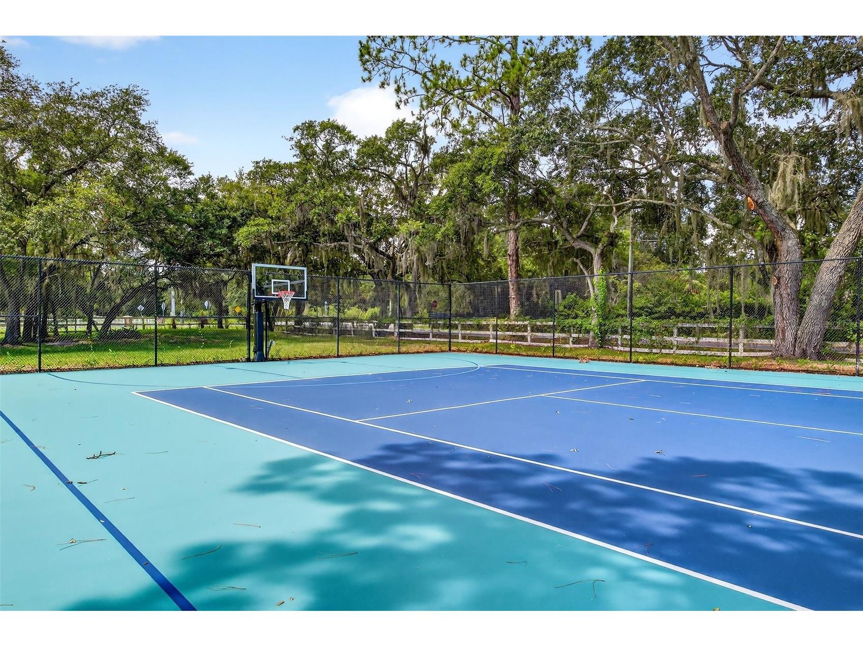 12936 Broleman Road Orlando FL 32832 O6416024 image69