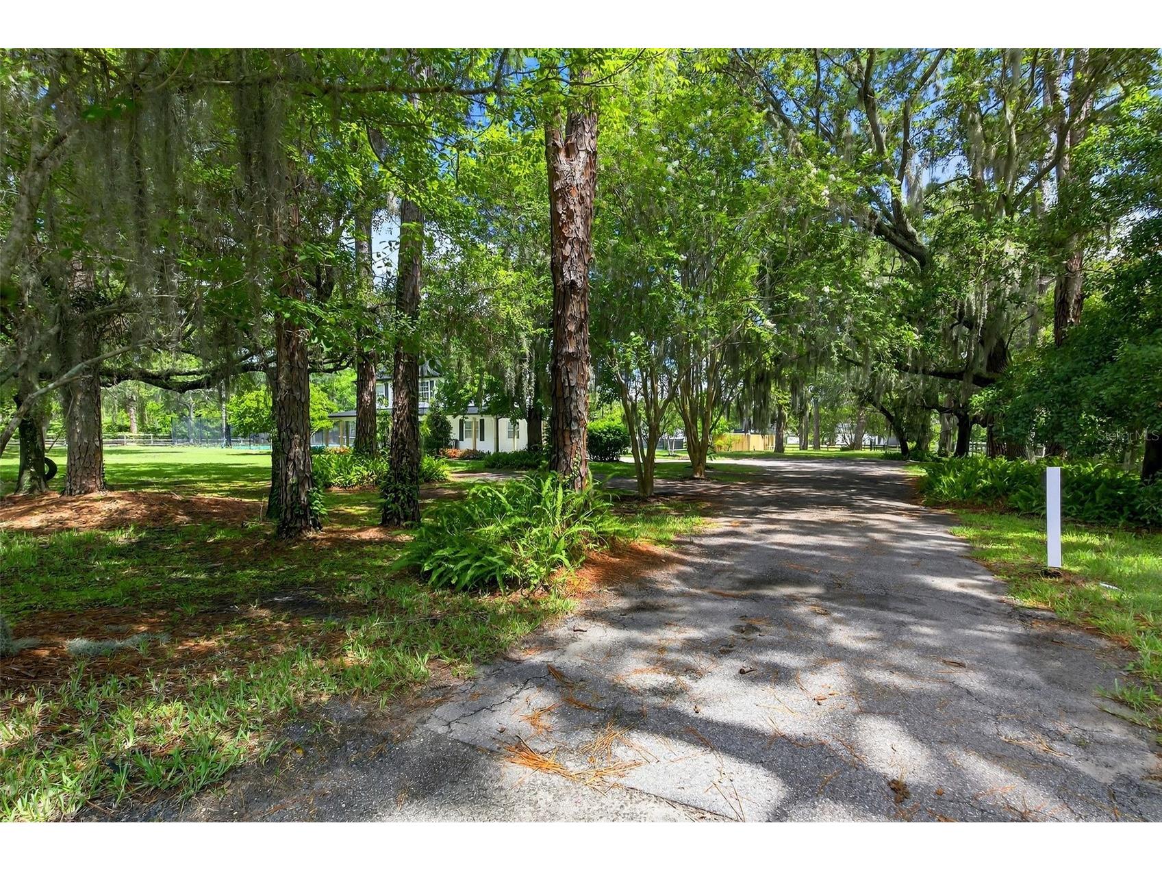 12936 Broleman Road Orlando FL 32832 O6416024 image82