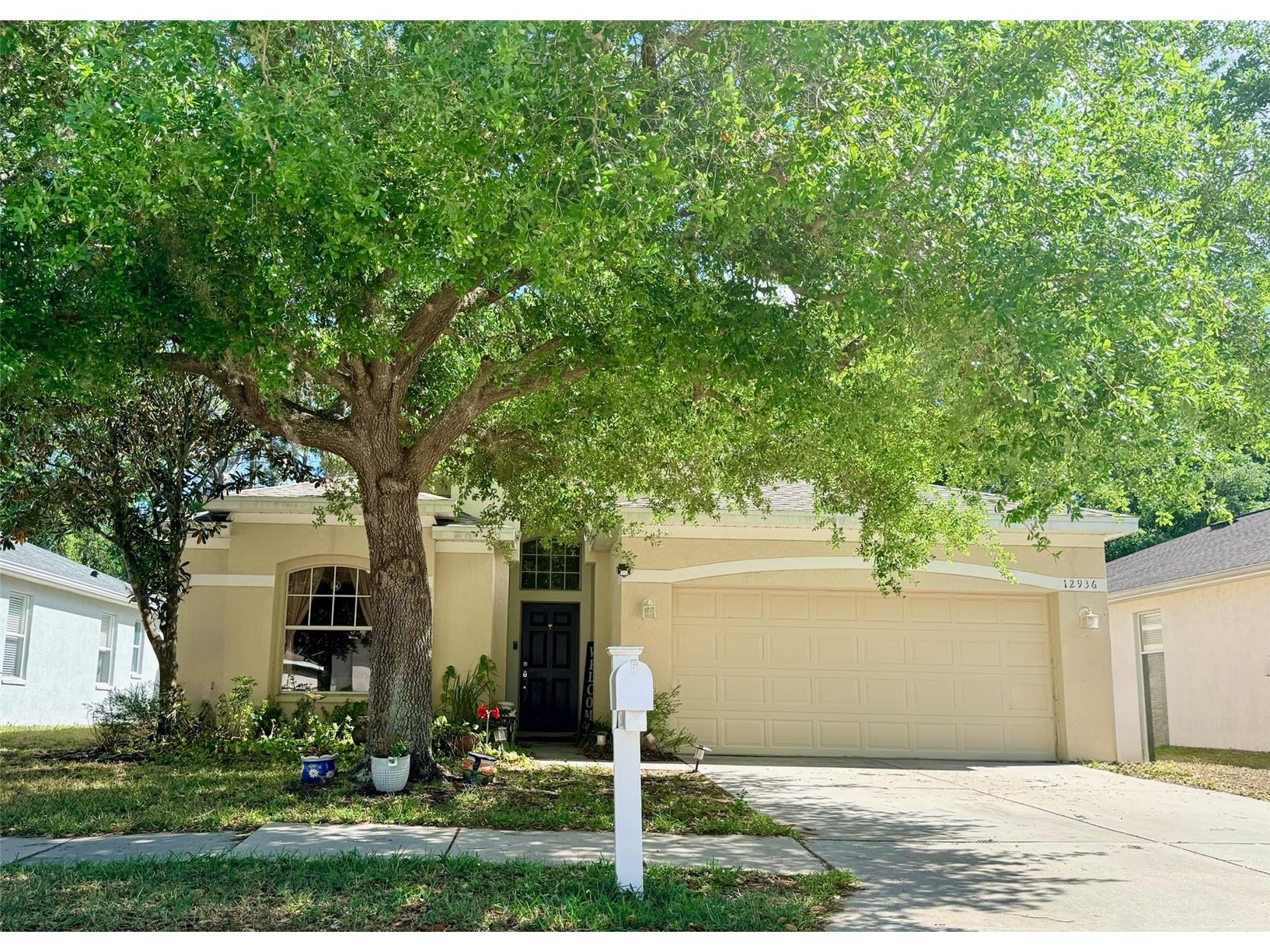 12936 Turnstone Court Hudson FL 34669 O6396783 image1