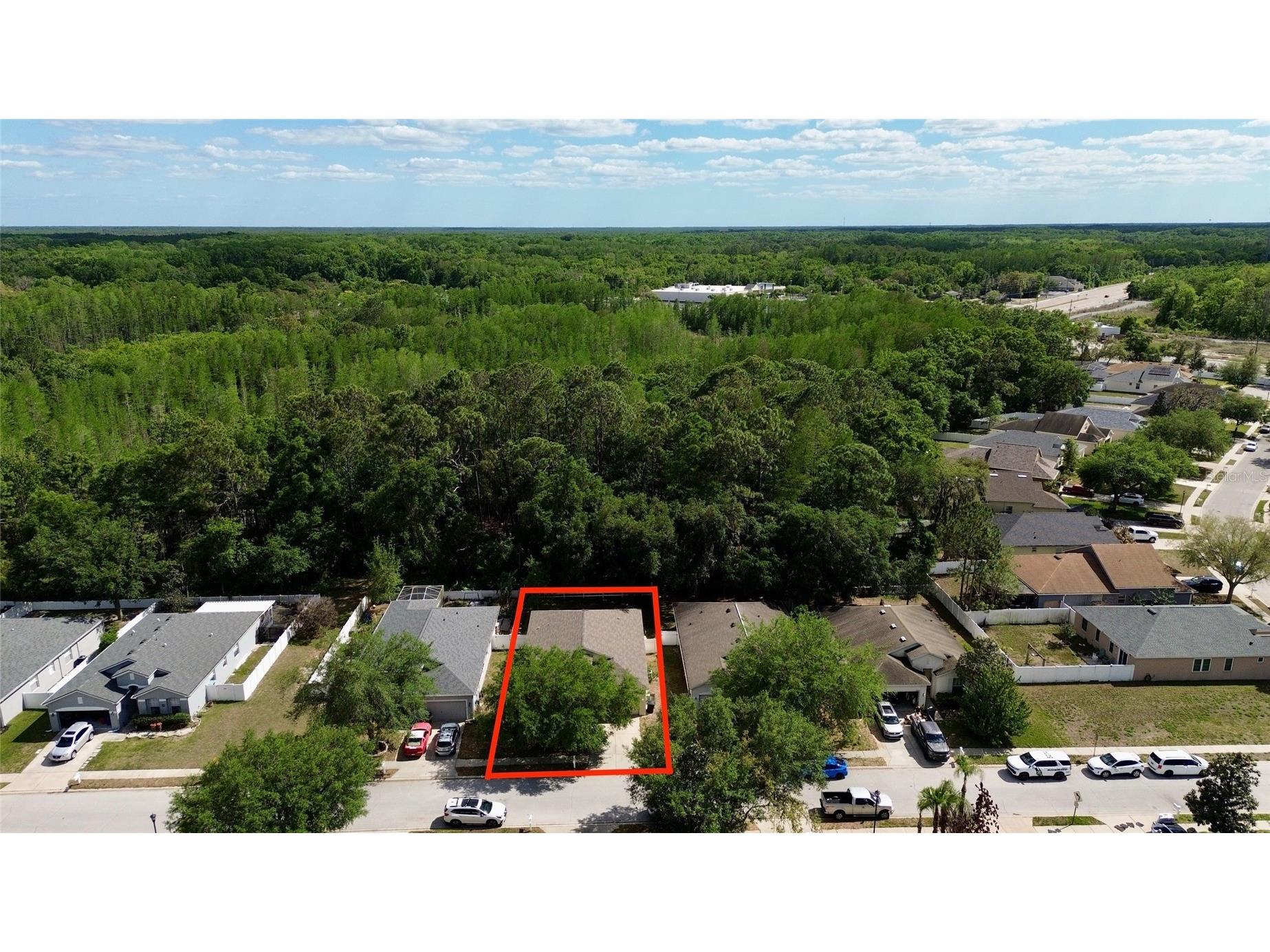 12936 Turnstone Court Hudson FL 34669 O6396783 image3