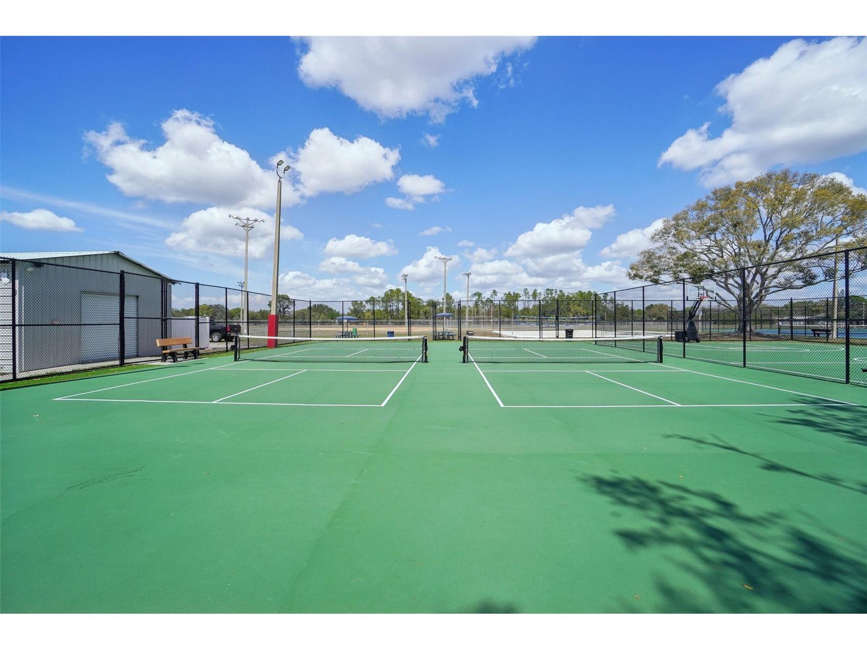 12937 Trade Port Place Riverview FL 33579 TB8483860 image30