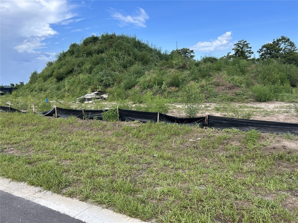 12938 Stillwater Cove Drive Astatula FL 34705 - LITTLE LAKE HARRIS O6313425 image2