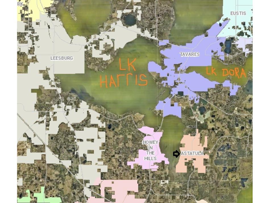 12938 Stillwater Cove Drive Astatula FL 34705 - LITTLE LAKE HARRIS O6313425 image3