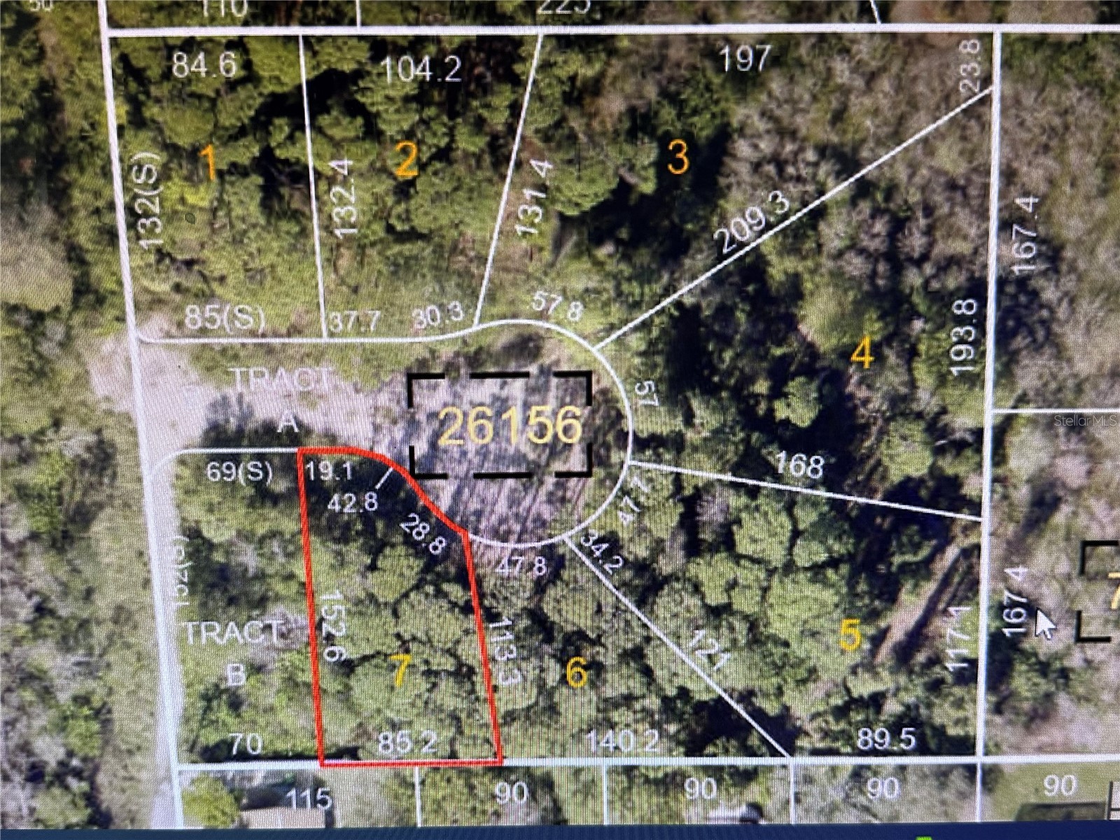 1294 Almaria Court Palm Harbor FL 34683 U8238027 image2