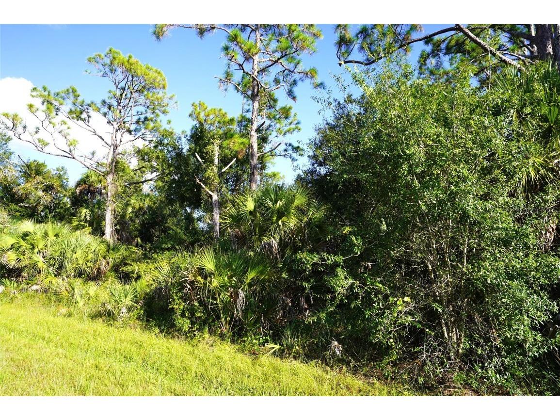 1294 Birch Terrace Port Charlotte FL 33953 C7516076 image1