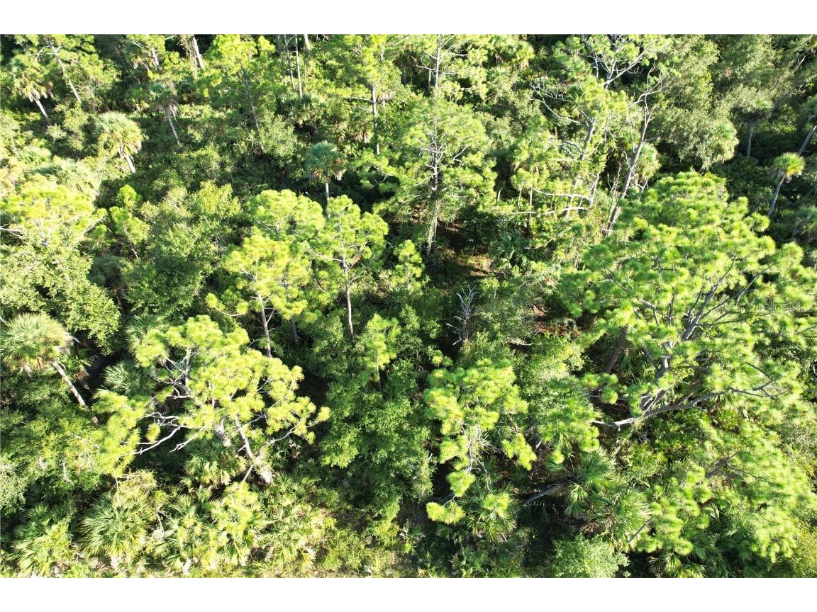 1294 Birch Terrace Port Charlotte FL 33953 C7516076 image11