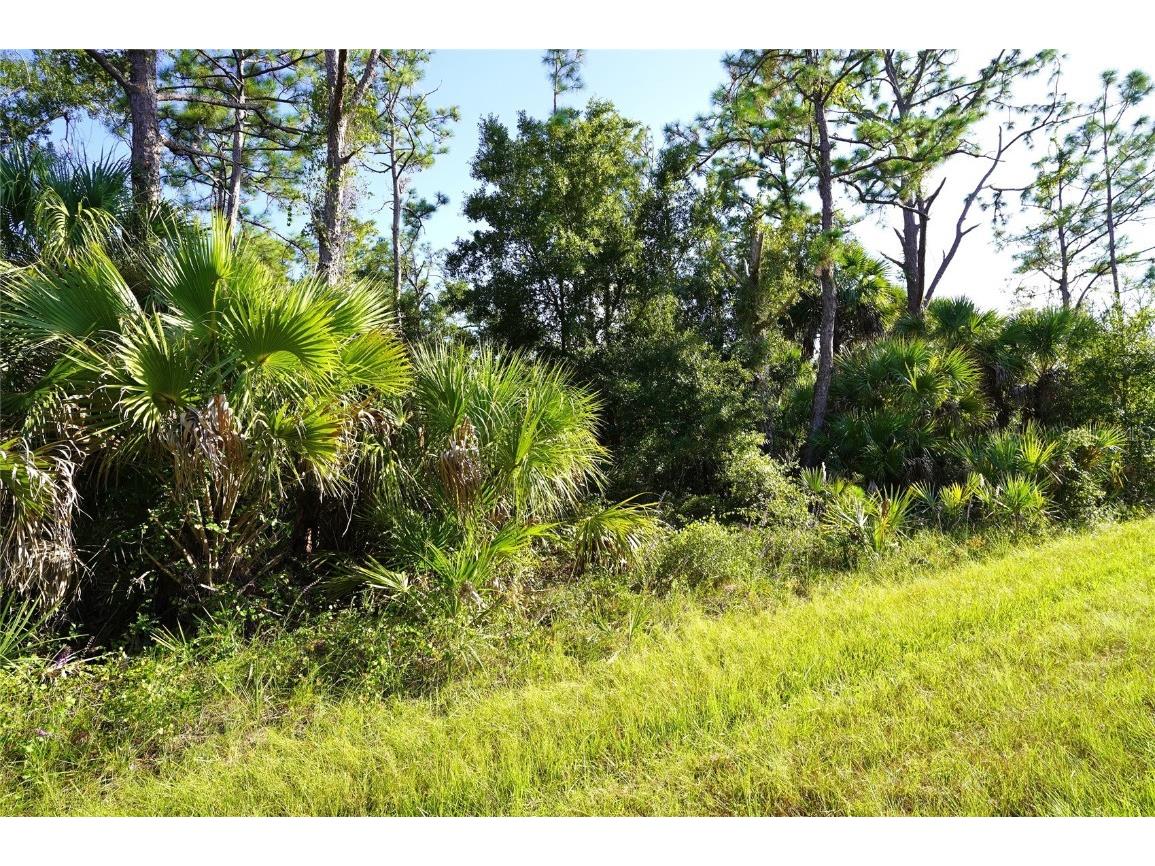 1294 Birch Terrace Port Charlotte FL 33953 C7516076 image2