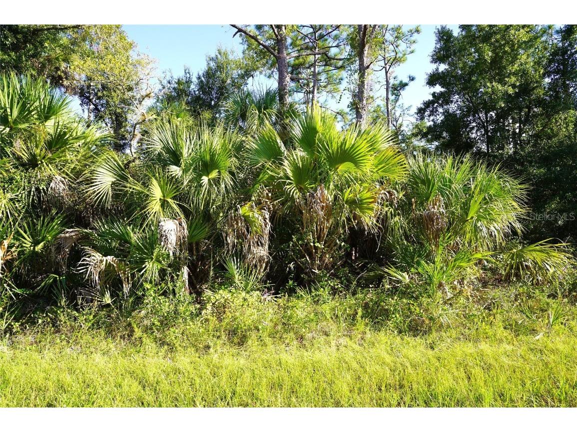 1294 Birch Terrace Port Charlotte FL 33953 C7516076 image3