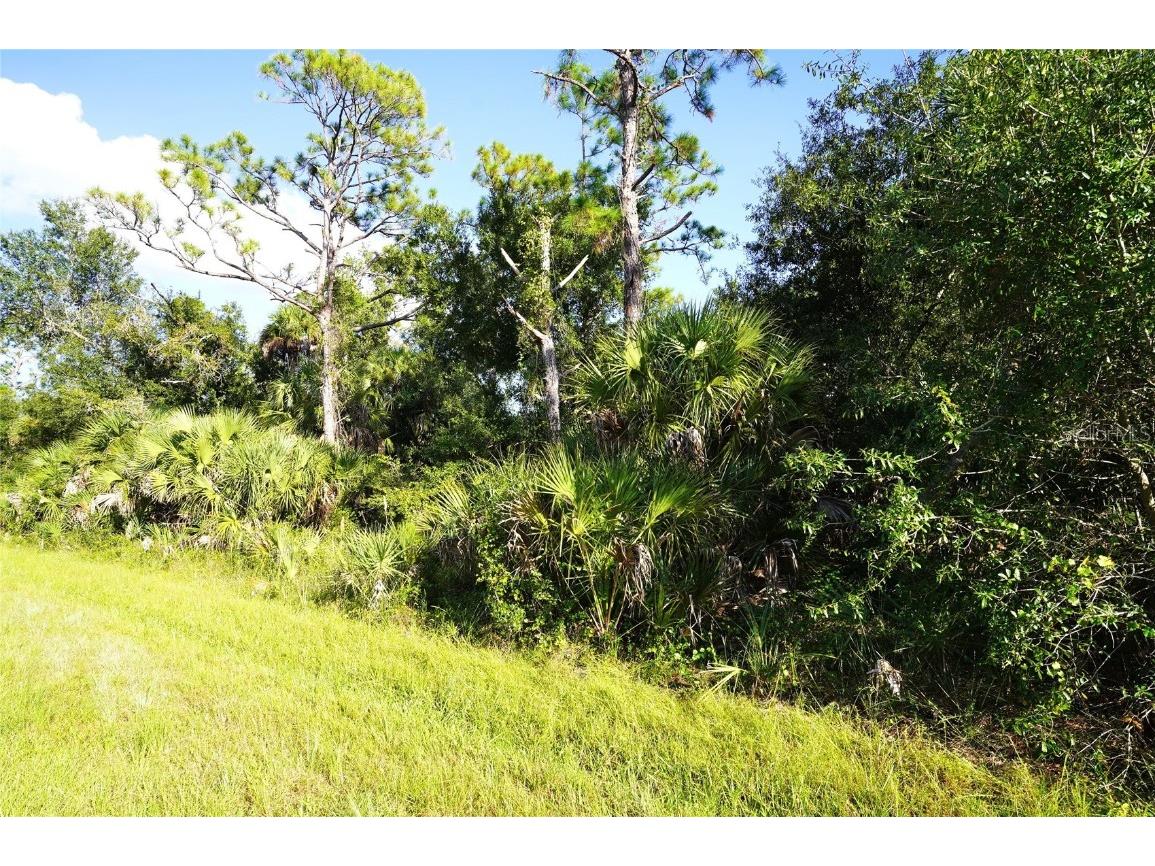 1294 Birch Terrace Port Charlotte FL 33953 C7516076 image4