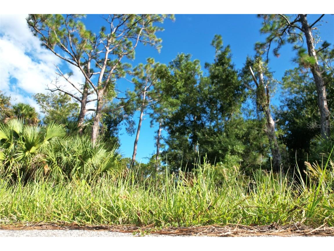 1294 Birch Terrace Port Charlotte FL 33953 C7516076 image5